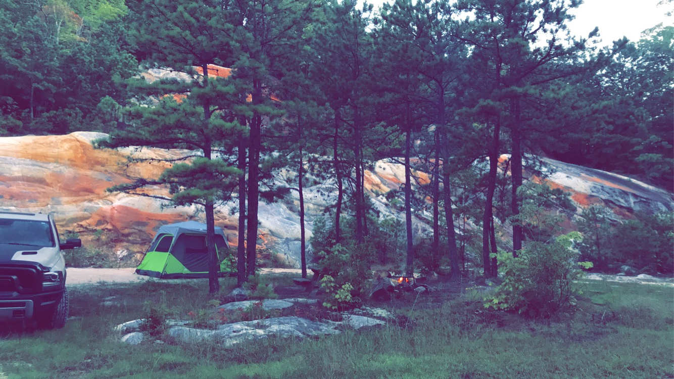 Picture of the site