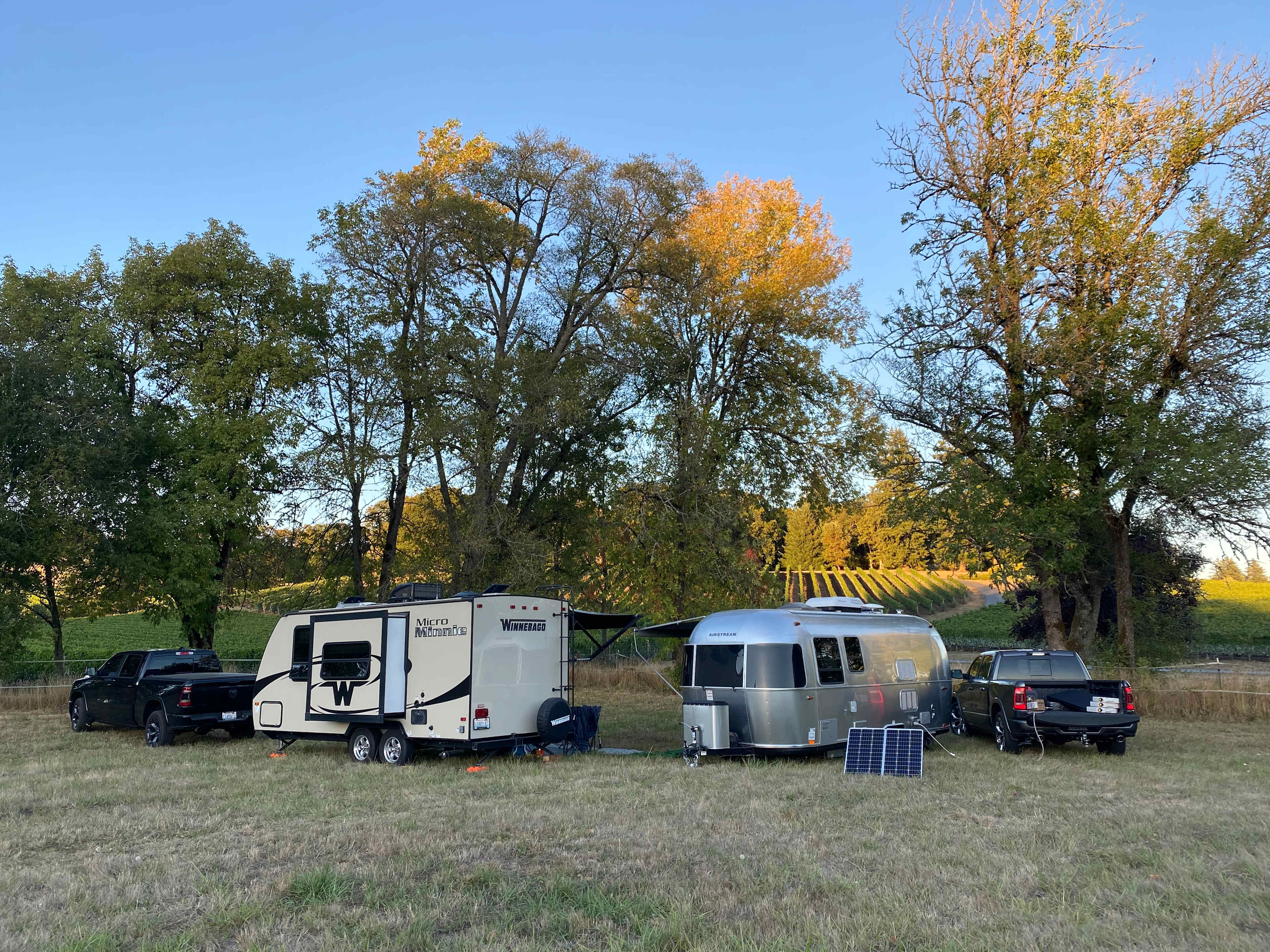Zenith Vineyard Camping