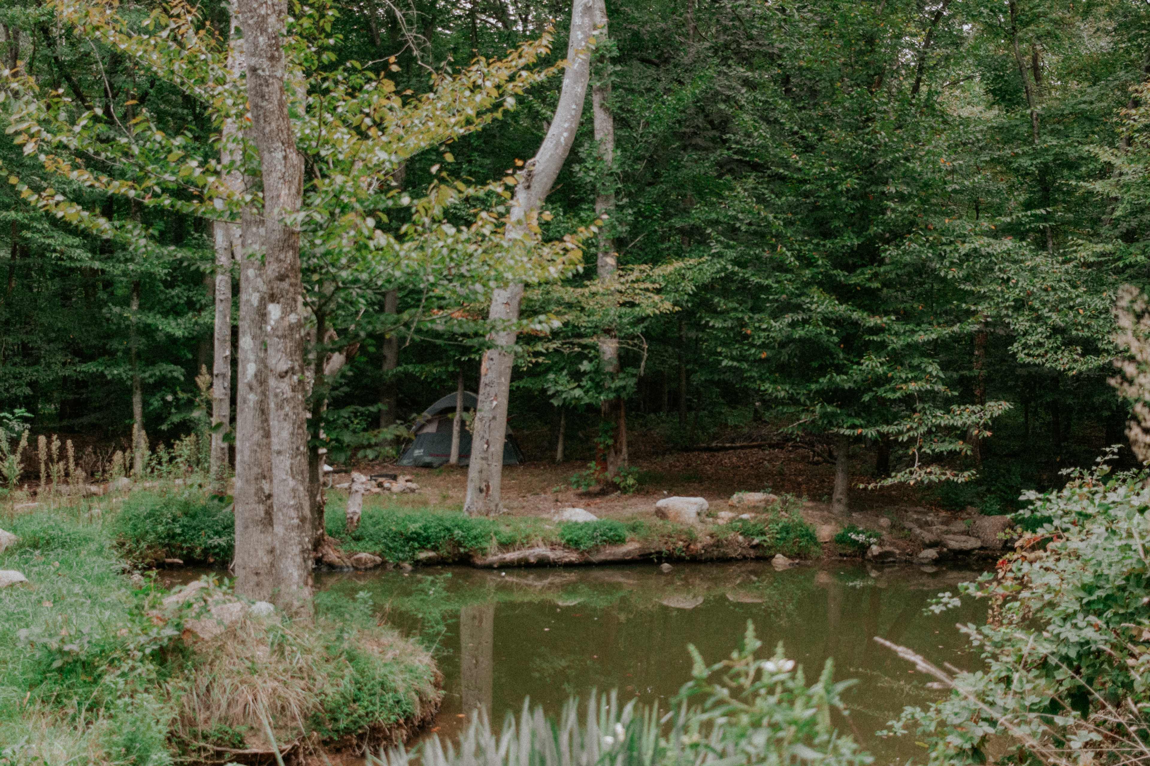 Arcadia Sanctuary