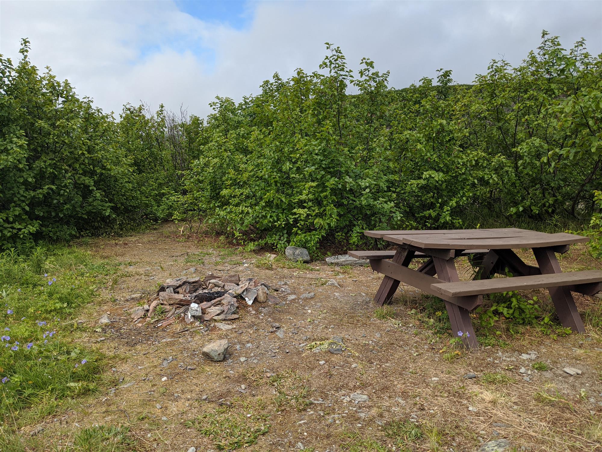 Picture of the site