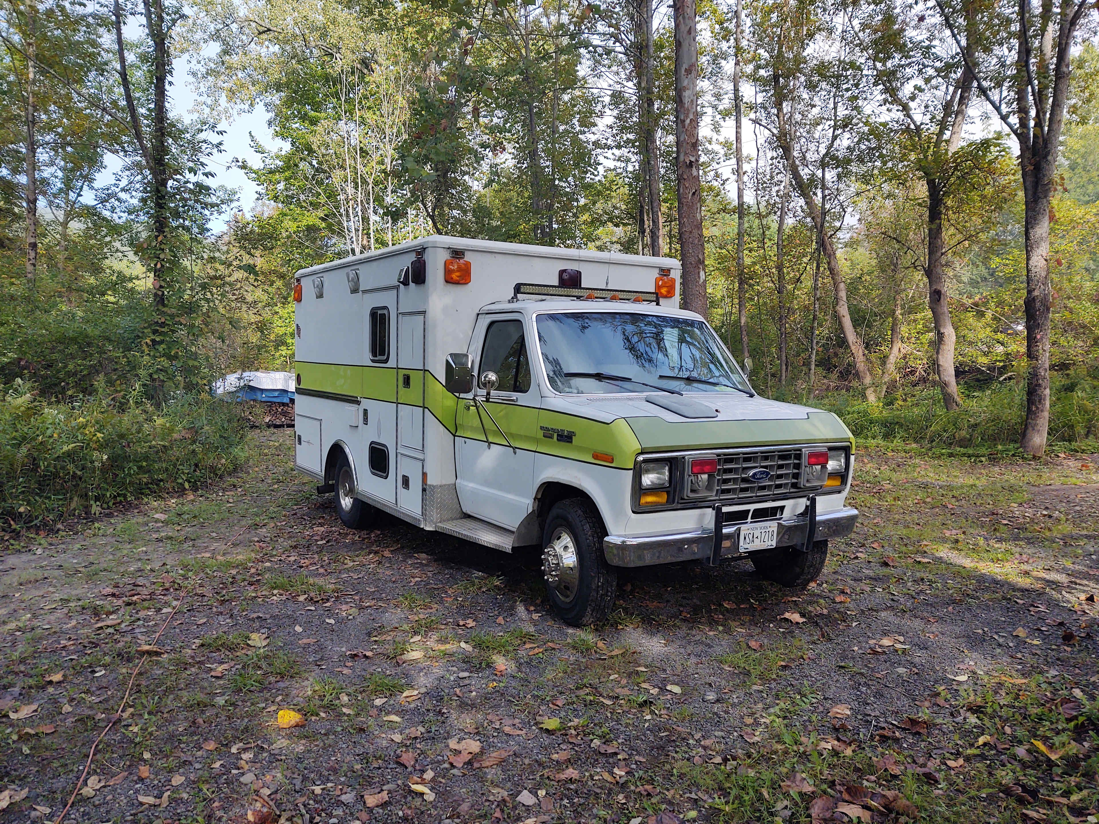 Picture of the site