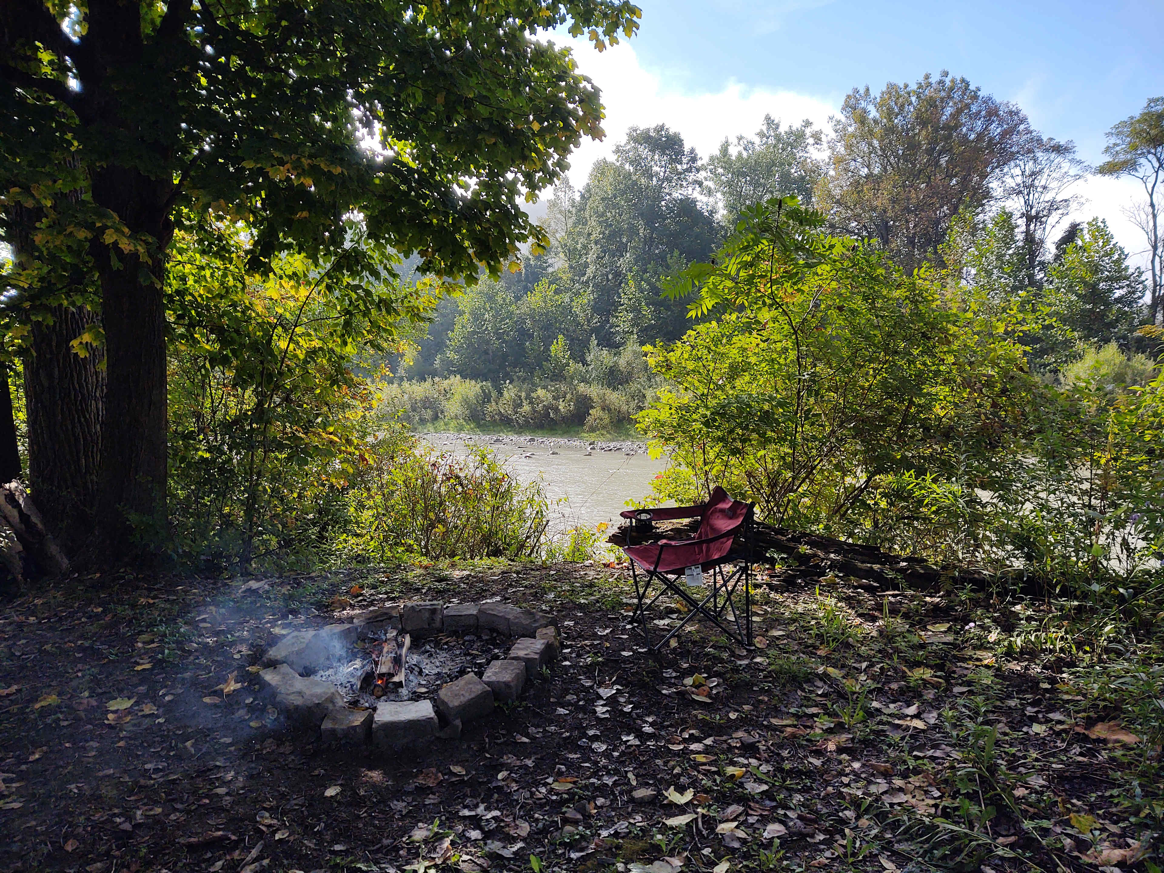 Picture of the site