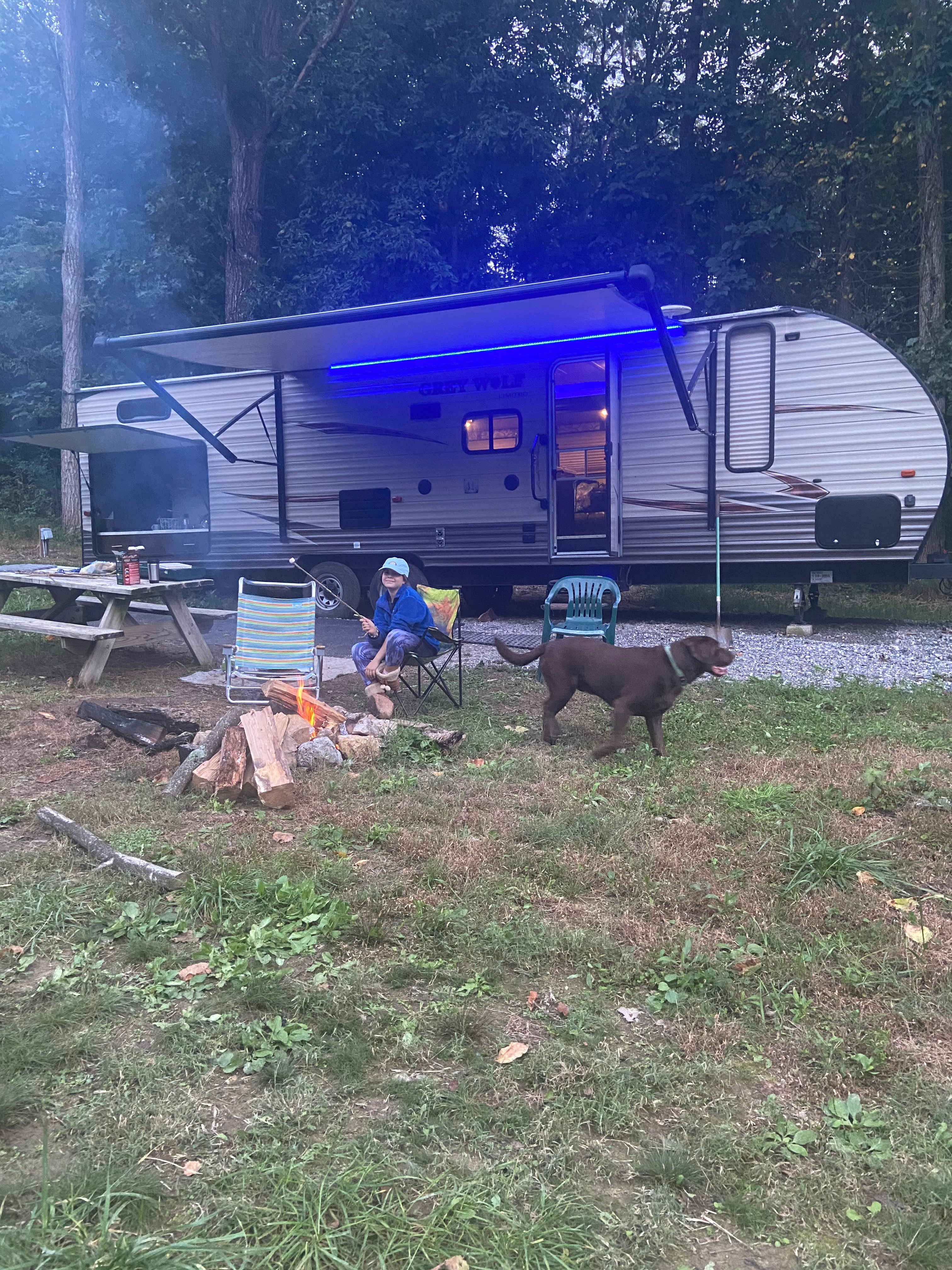 Picture of the site