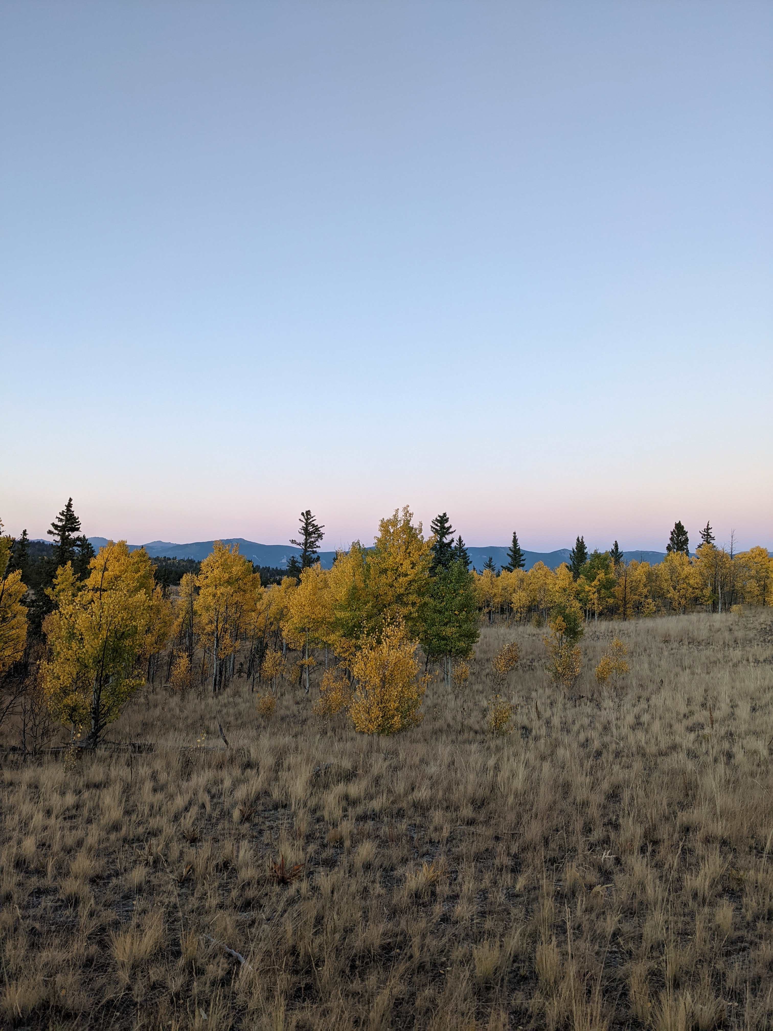 Camp with a view!