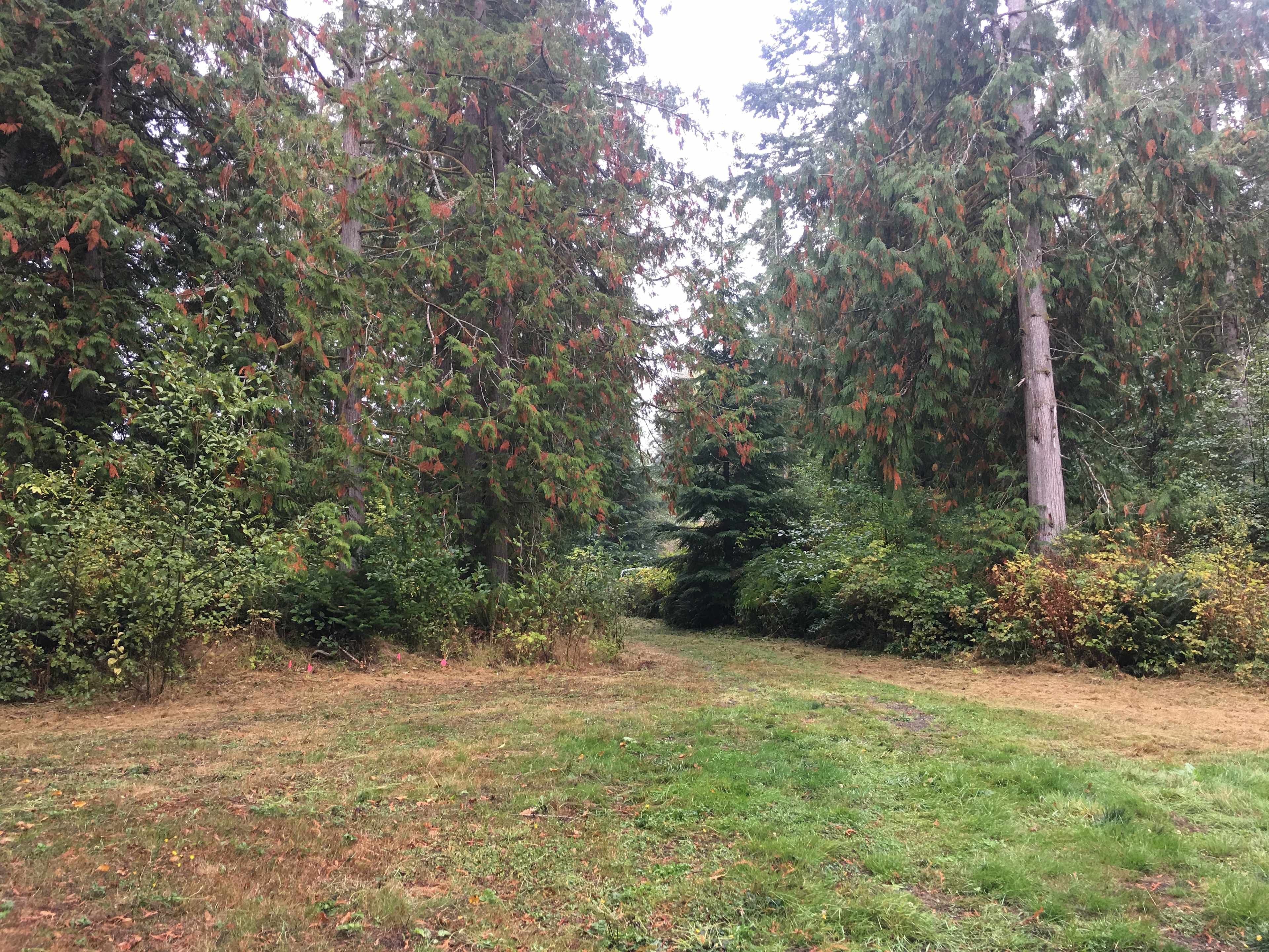 Salt Creek Meadows