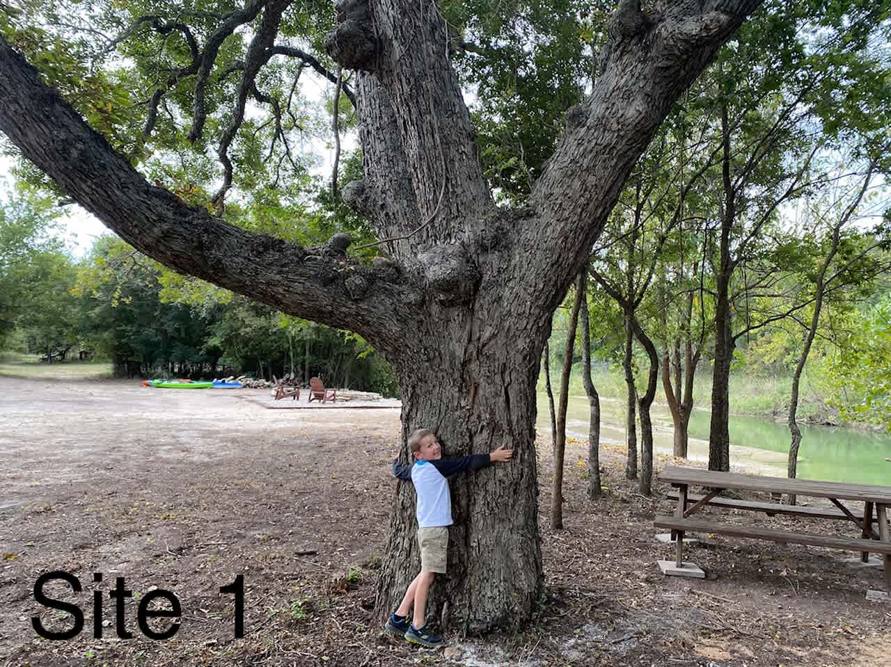 Picture of the site