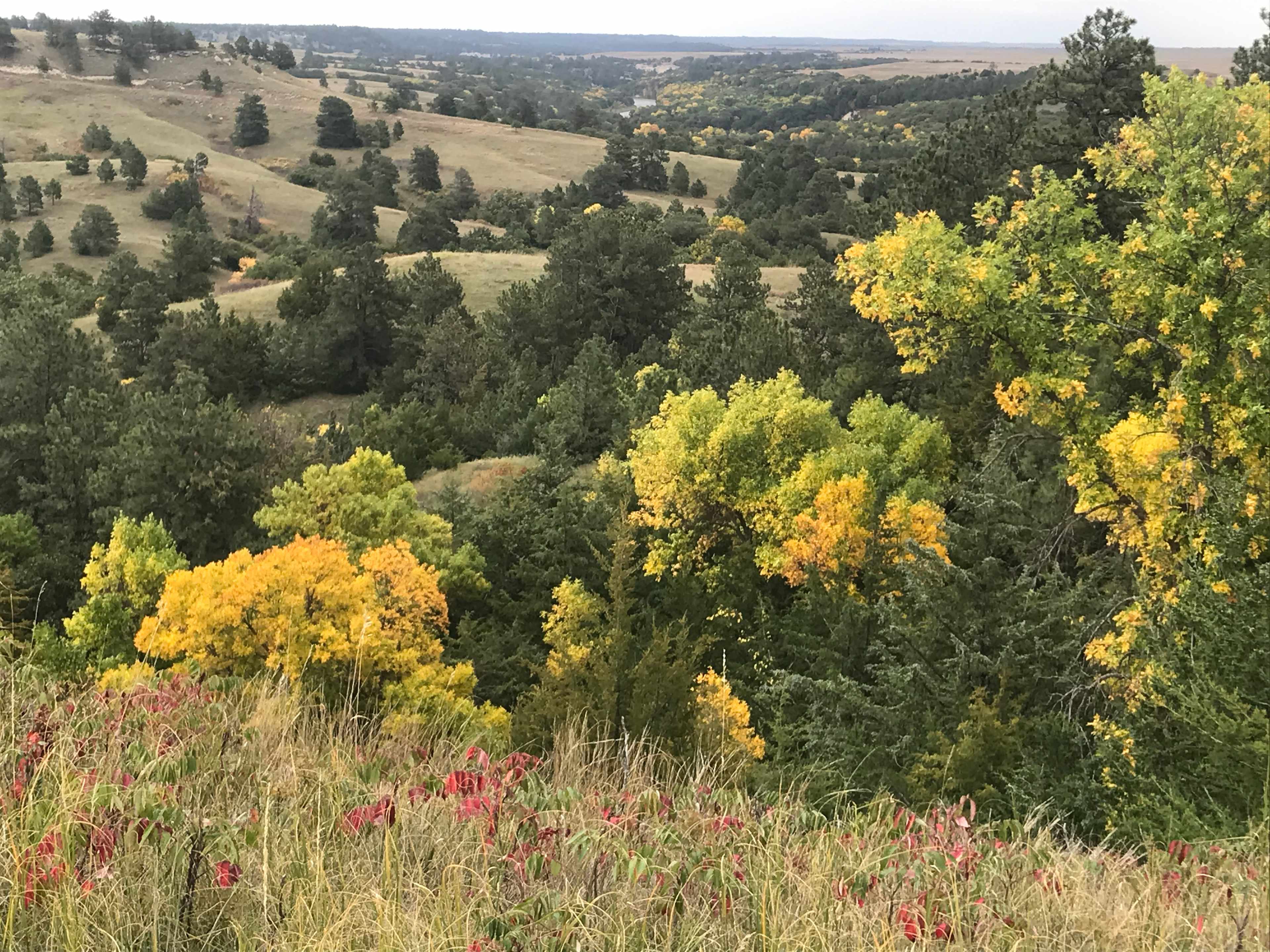 View from the site