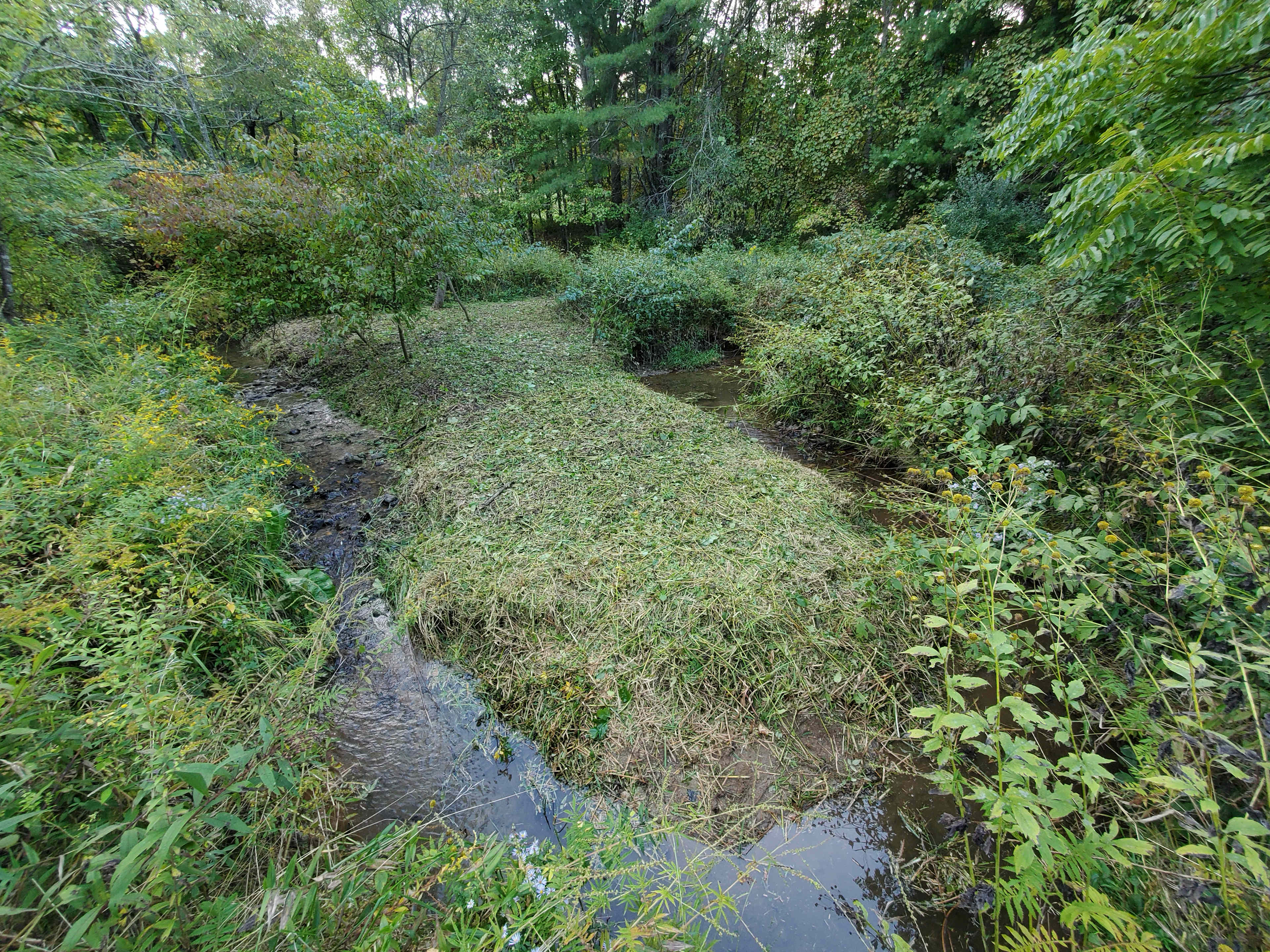 'Possum Creek Ranch