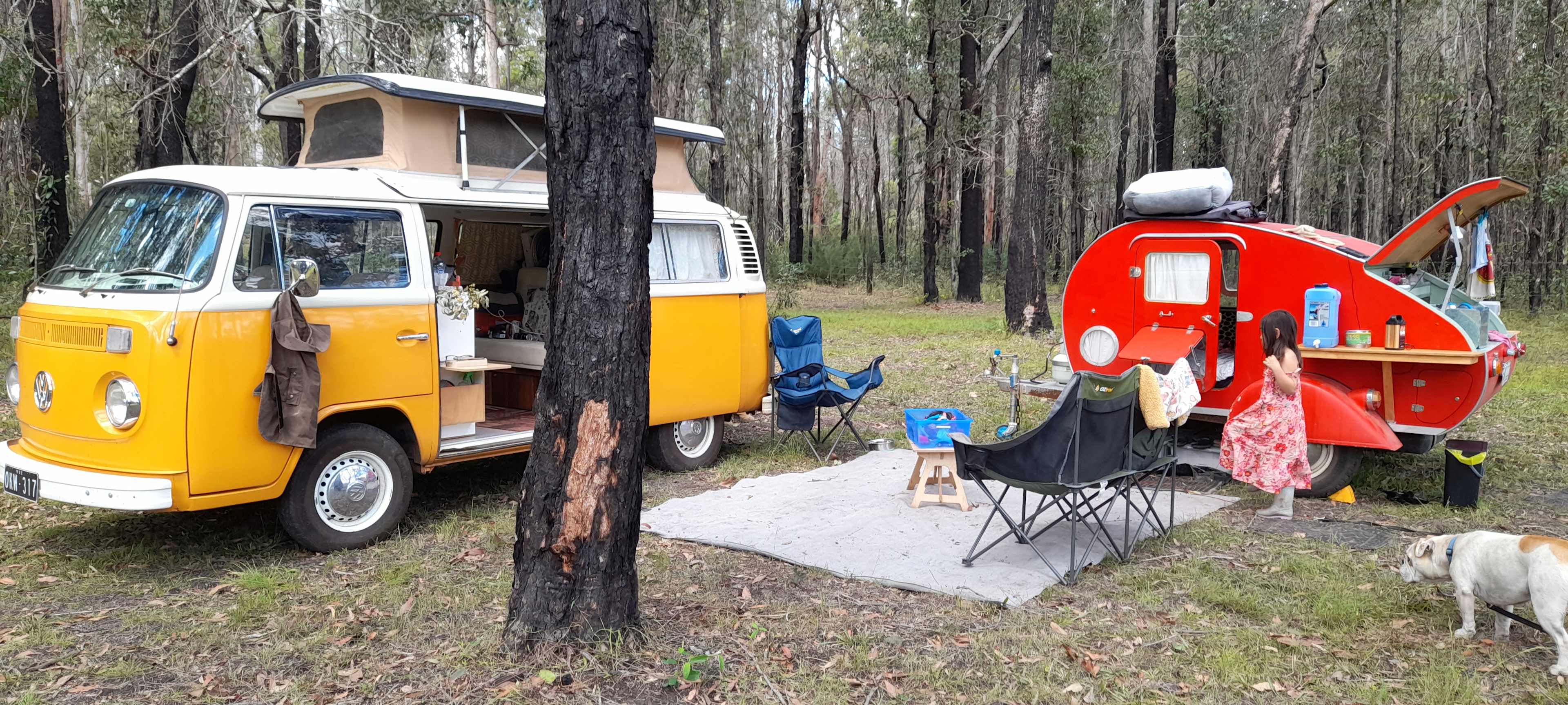 Happy campers