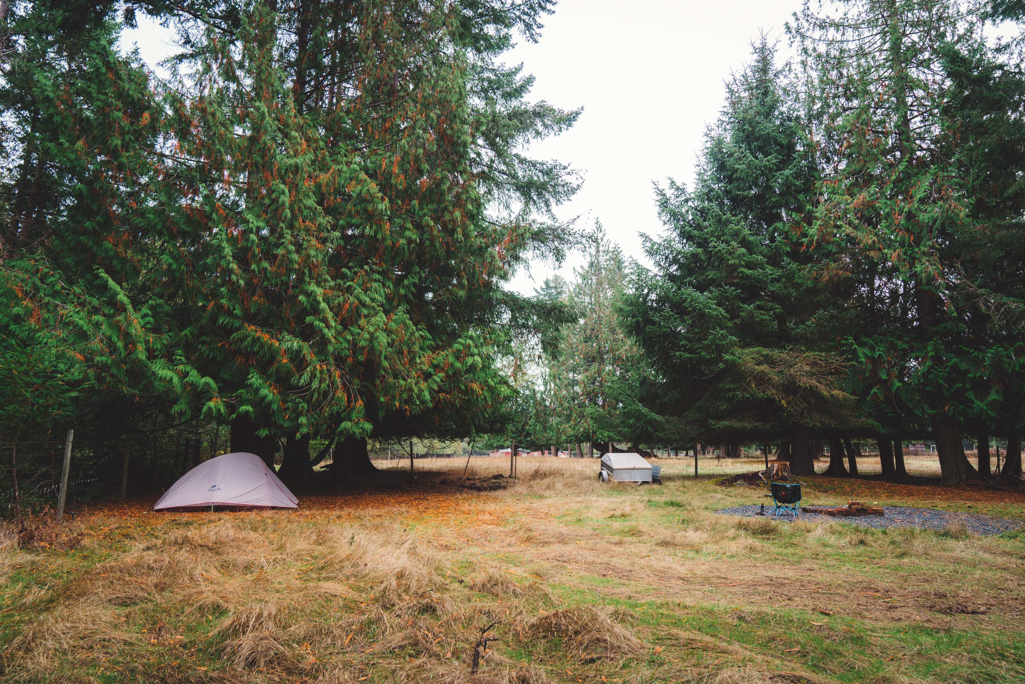 Camping area with front fields and firewood trailer visible.