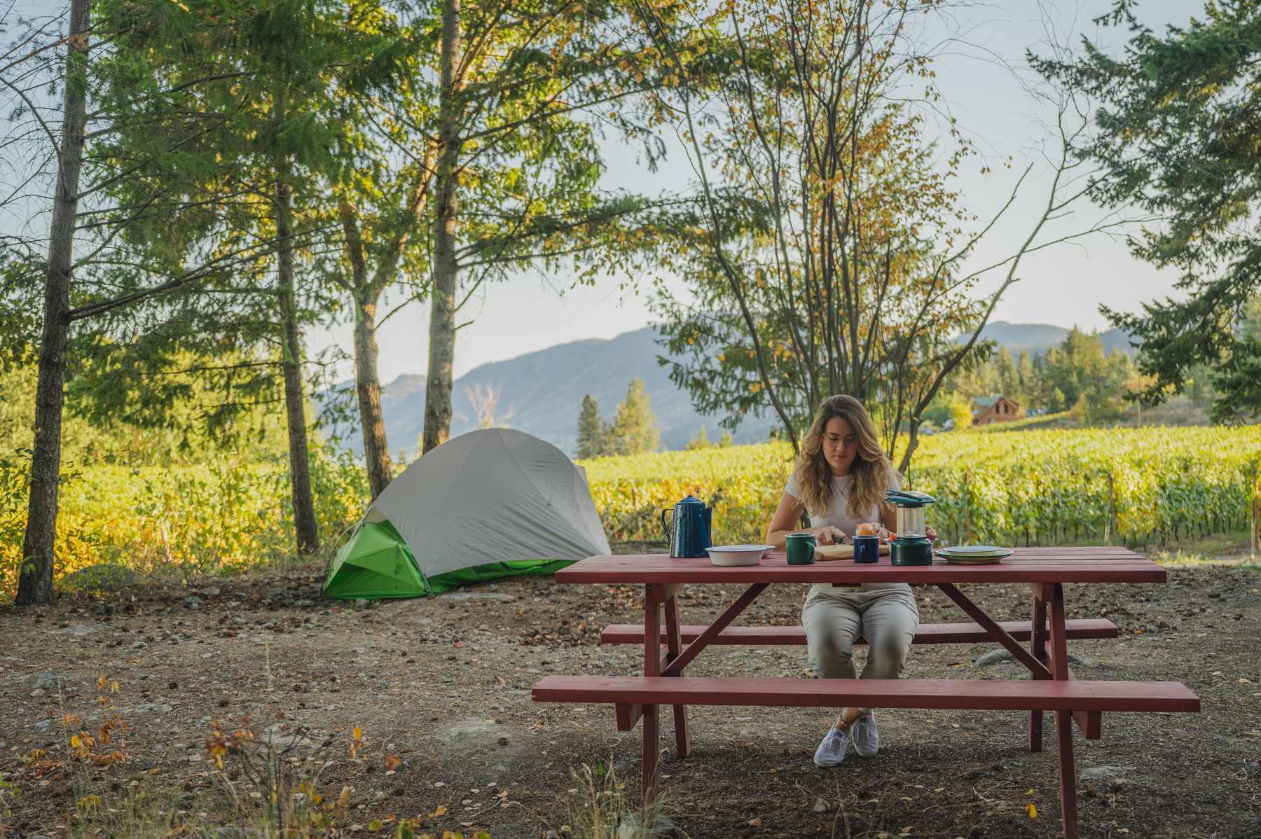 Back Forty Vineyards