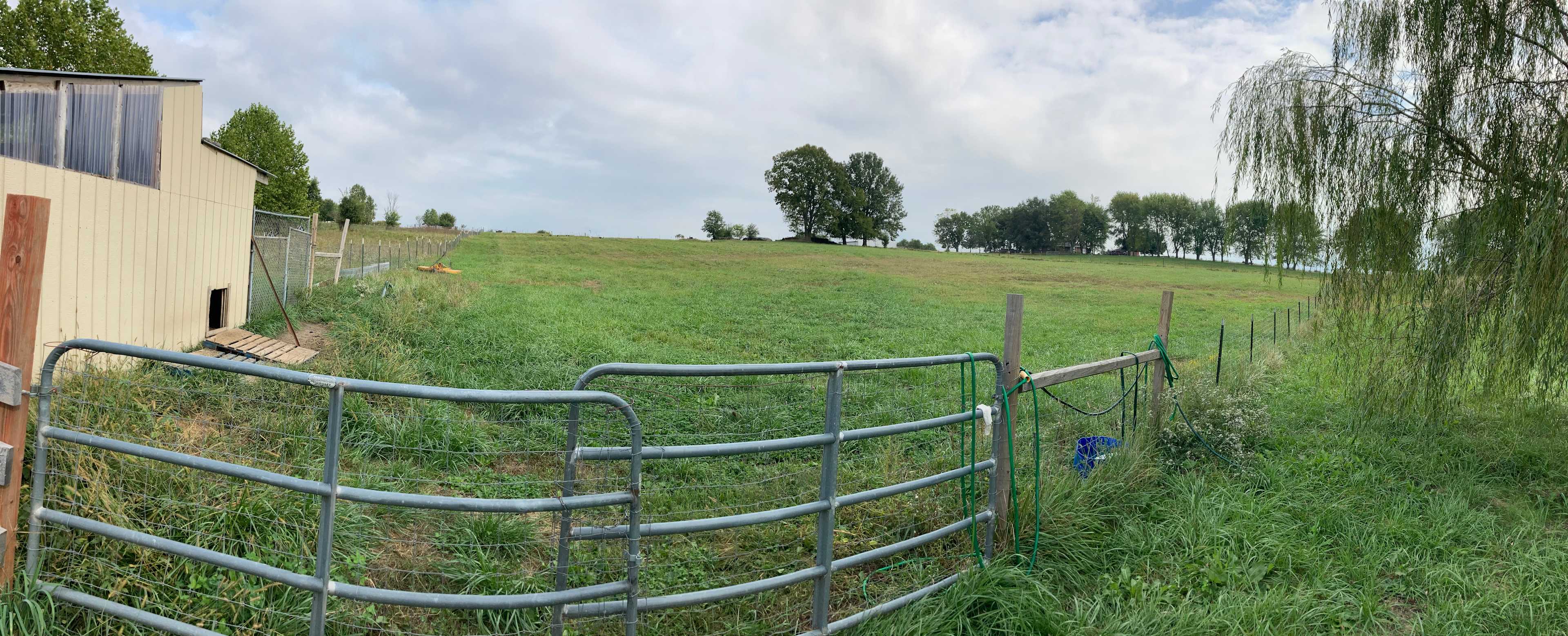 Gated entrance to pasture