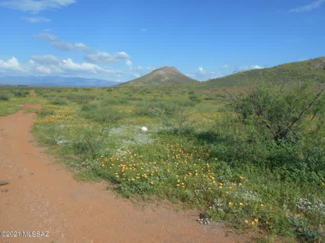 Shadow Hill
