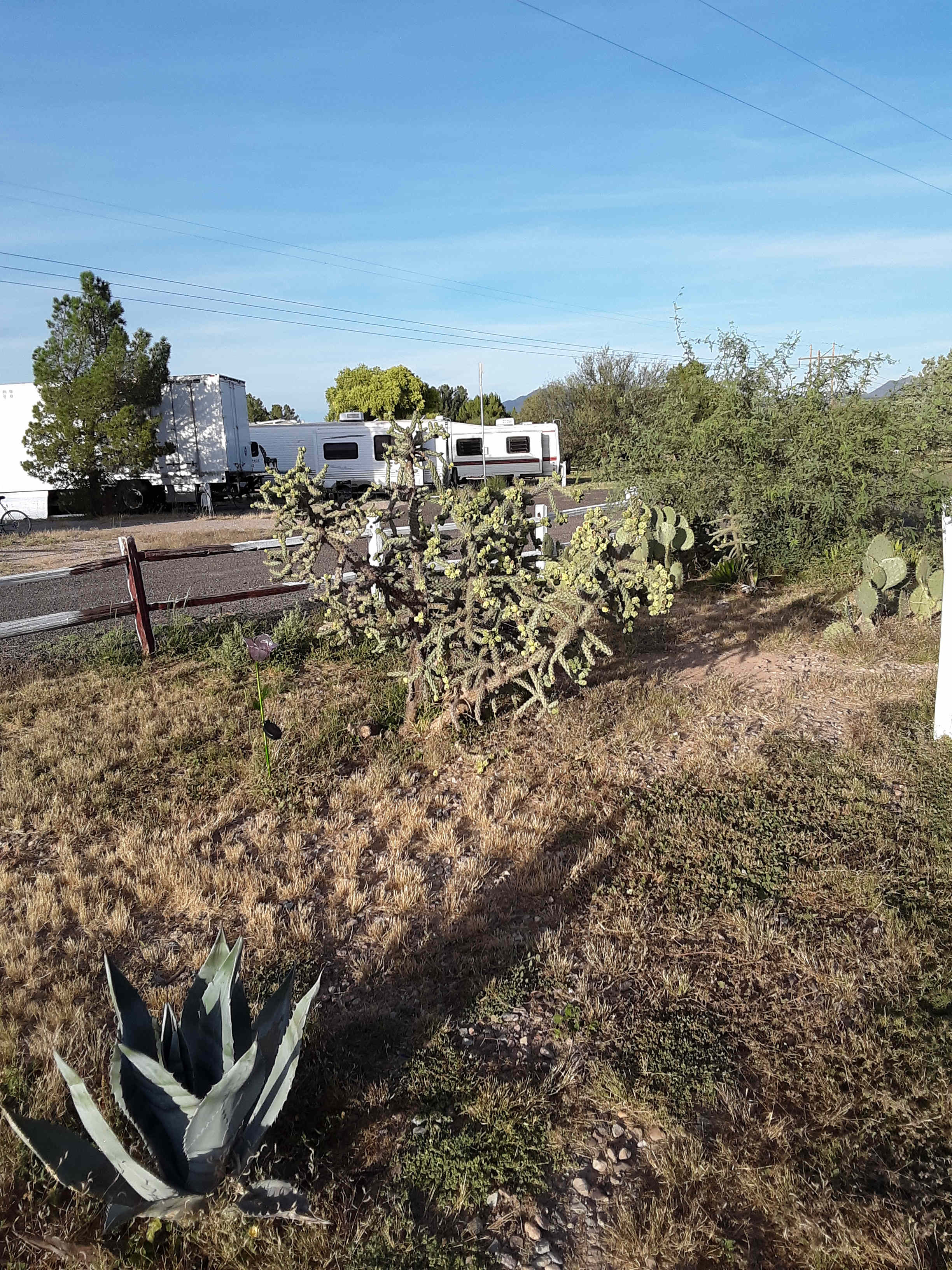 Picture of the site