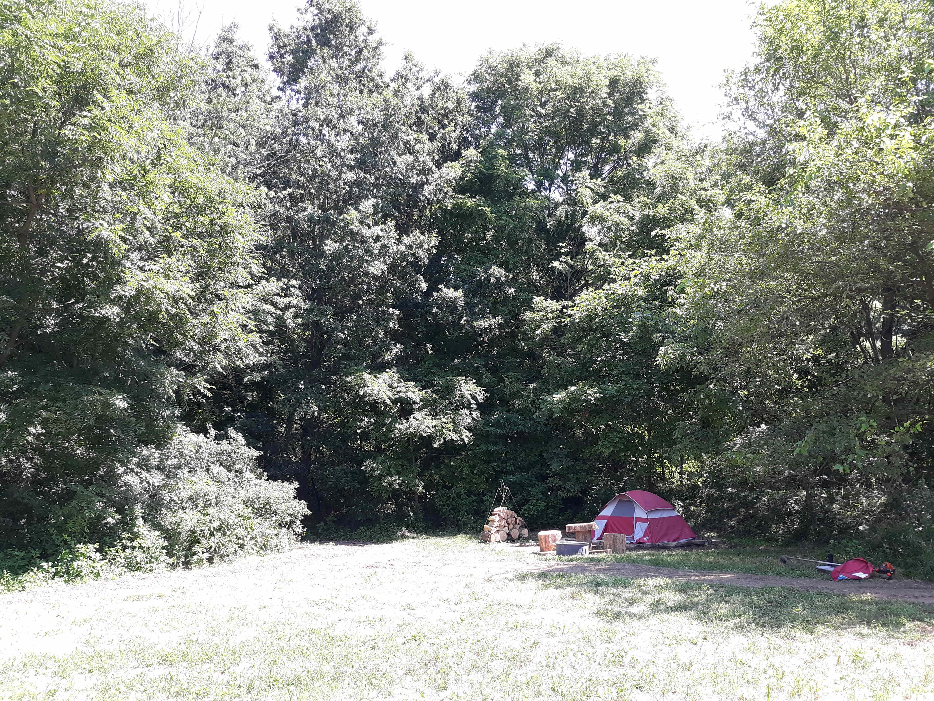 Camp with Alpacas at Aris Farm