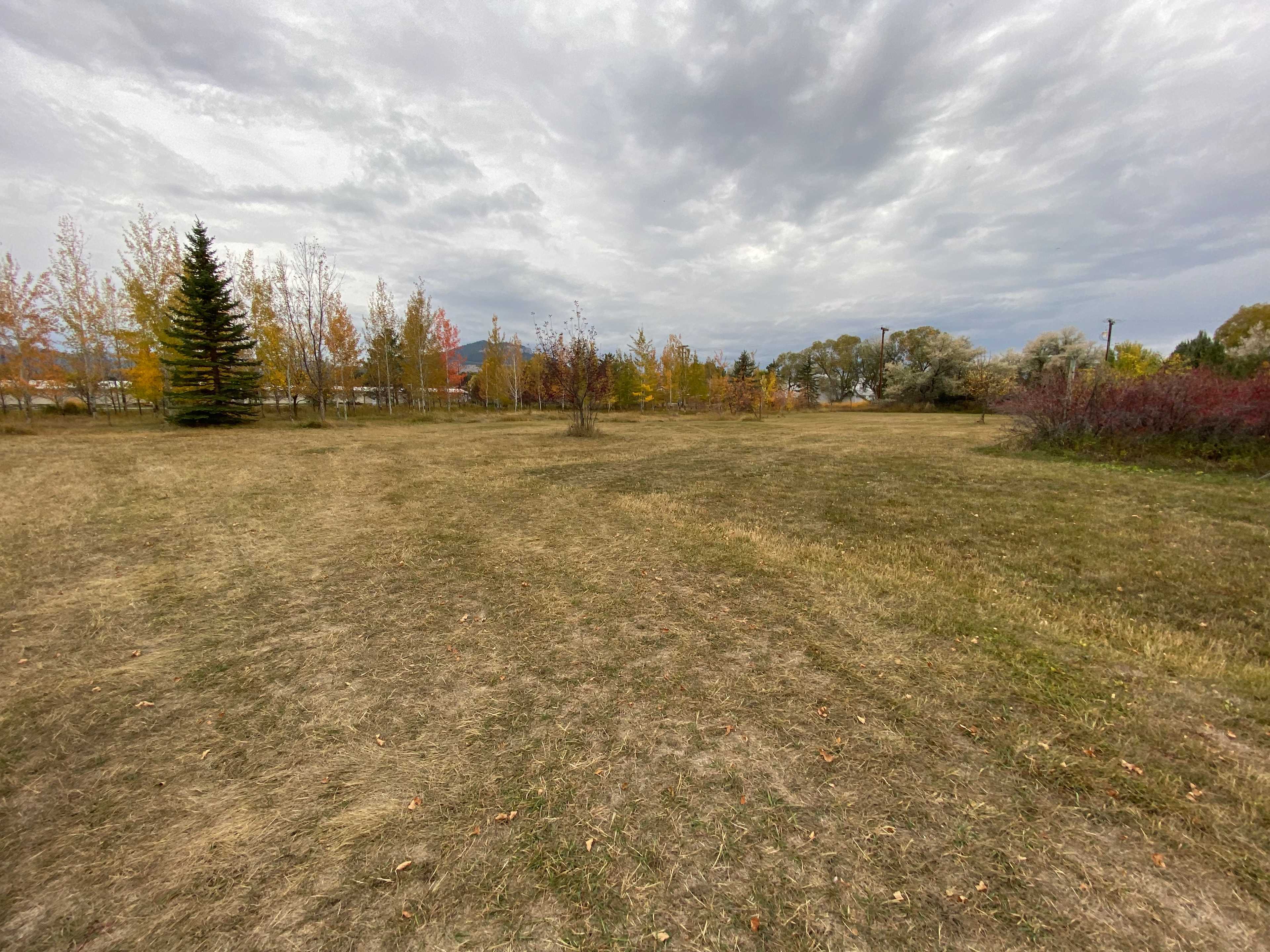 Pitch your tent in the trees or park your RV/Camper in the open field.  We have two designated spots in this area, which give each site plenty of space and privacy.