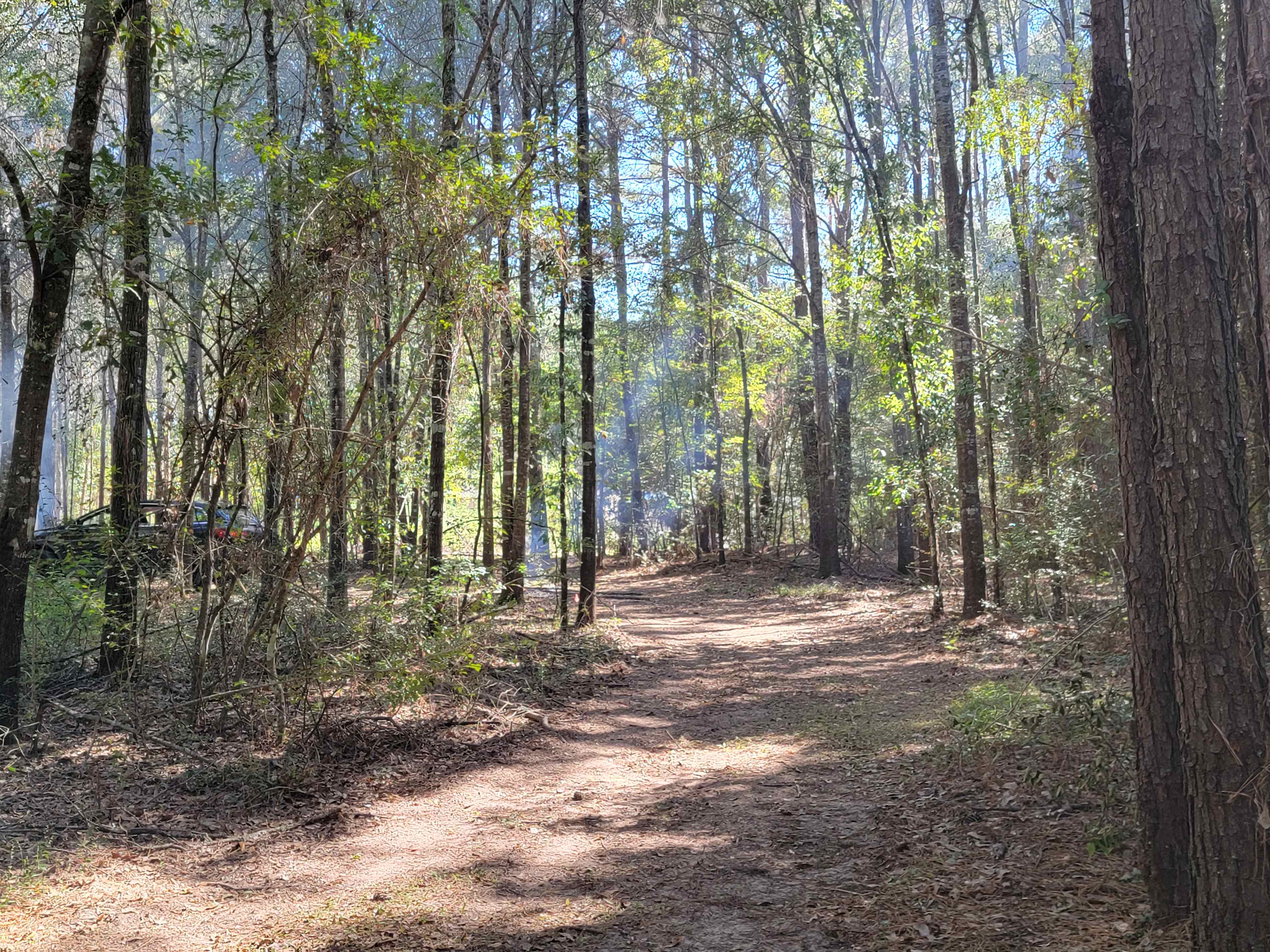 Outpost 203 - Camp & Glamp