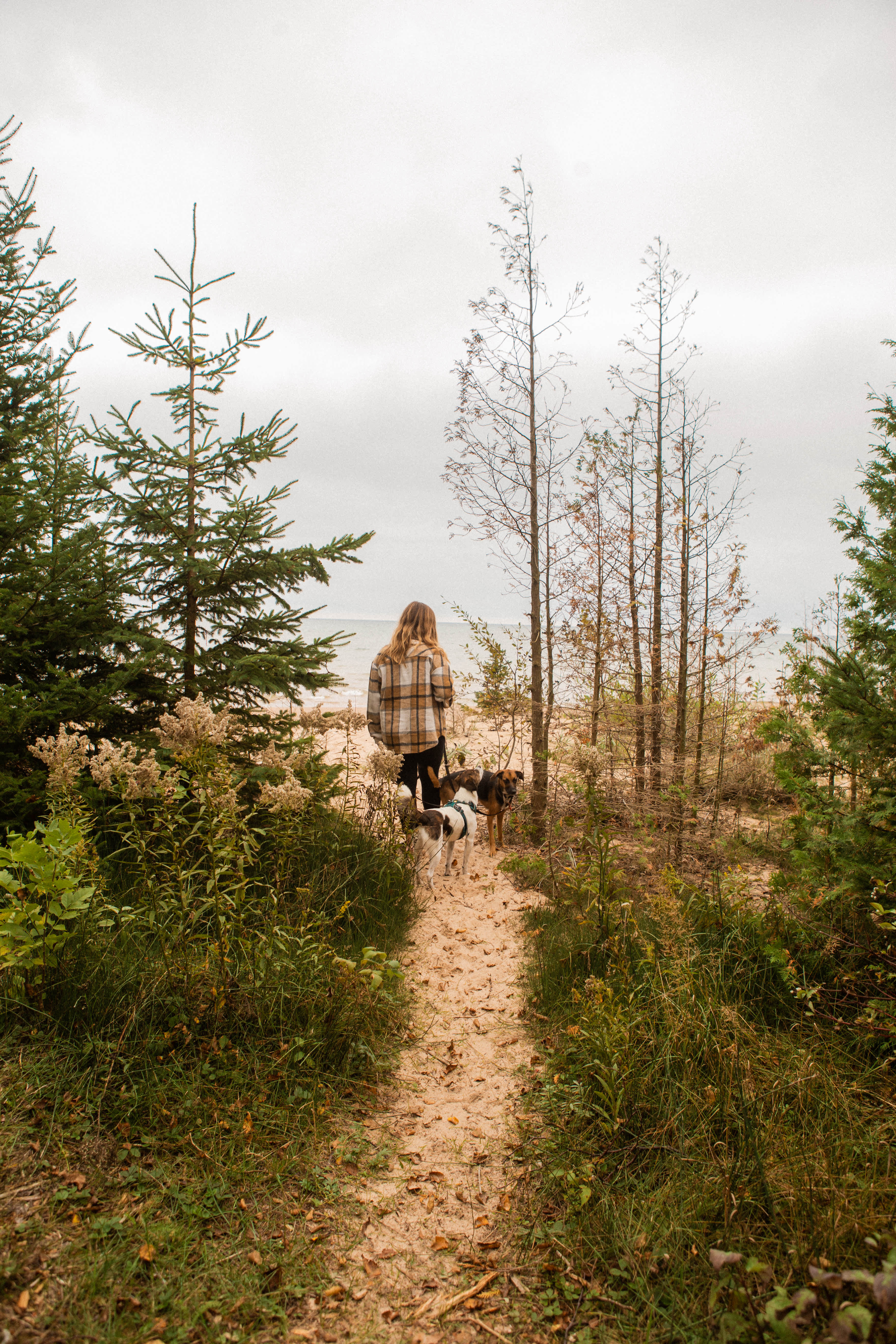 Here is a short path leading you to the beach!