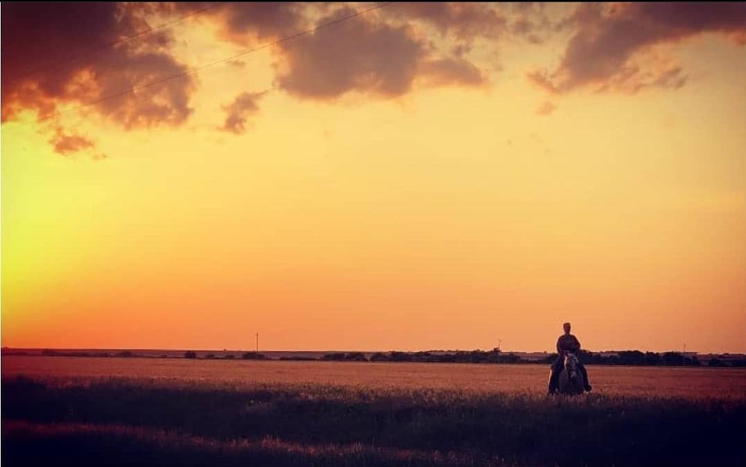bring your horses and ride through the field