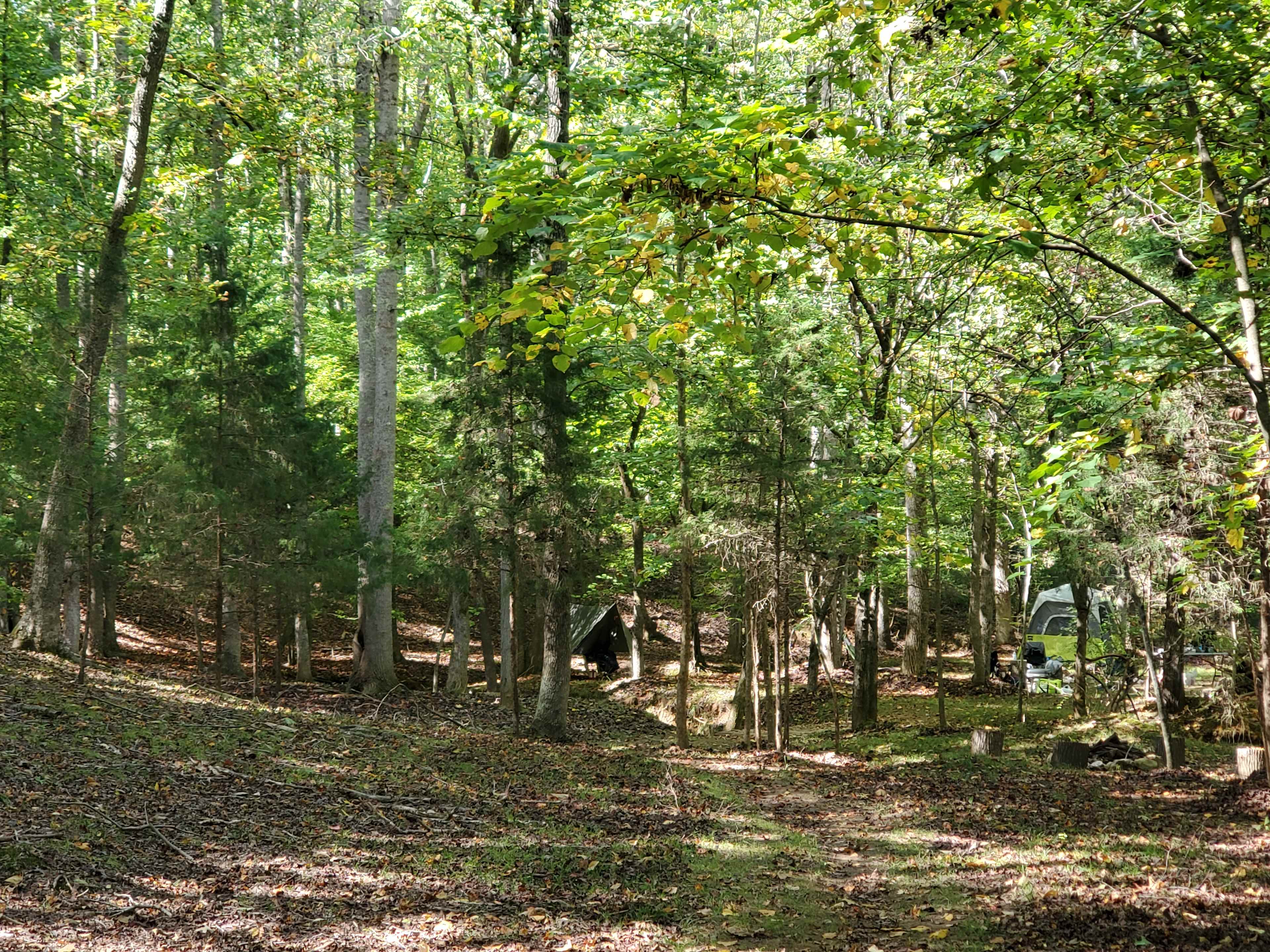 Picture of the site