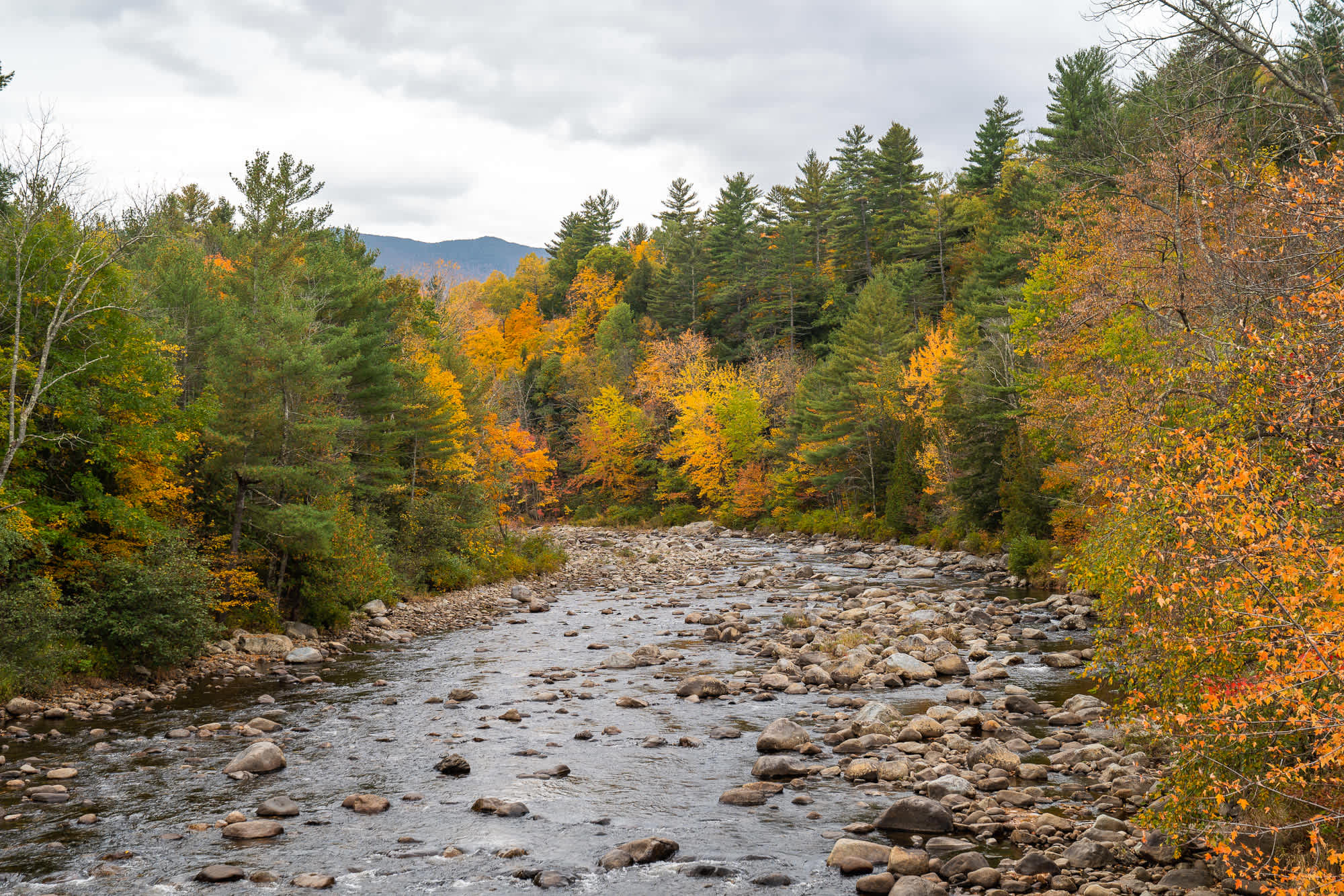 Upstream | Photo by Zak Suhar | zaksuhar.com | @zaksuhar