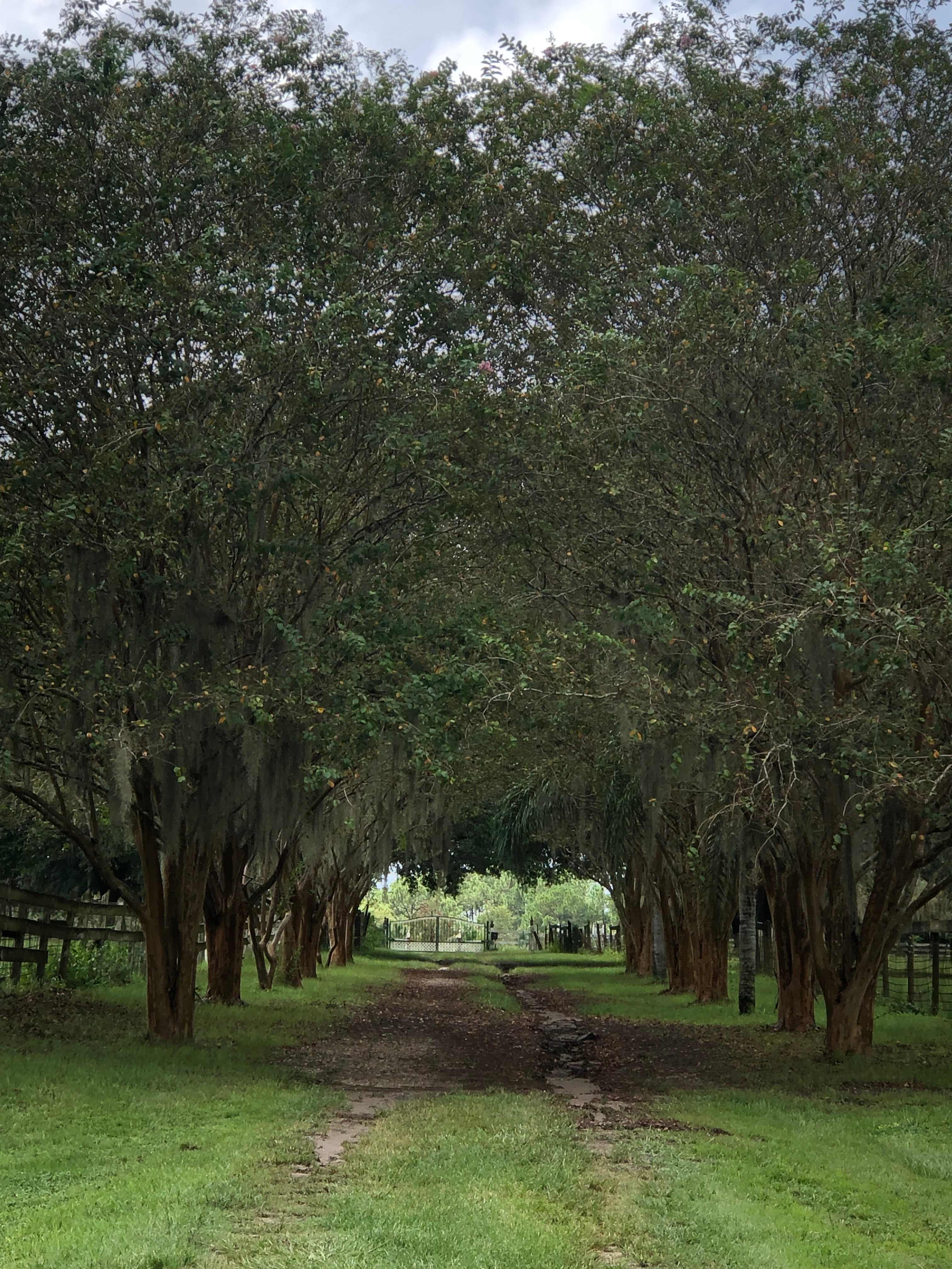 Denver Oaks Farm