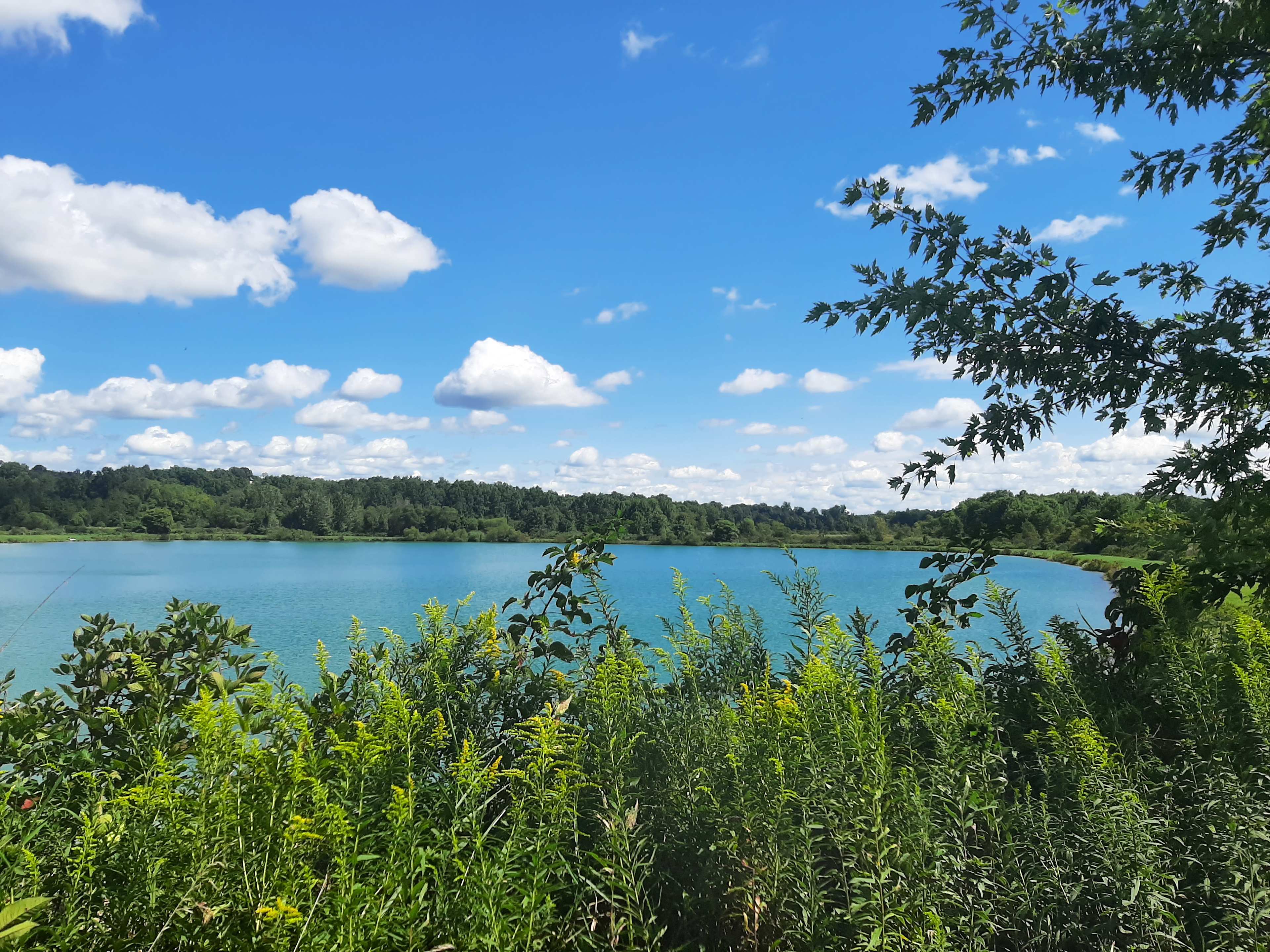 Mid summer day!