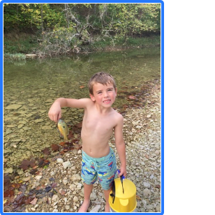 Excellent wade and fly fishing - panfish, rockbass, smallmouth, spots and largemouth.