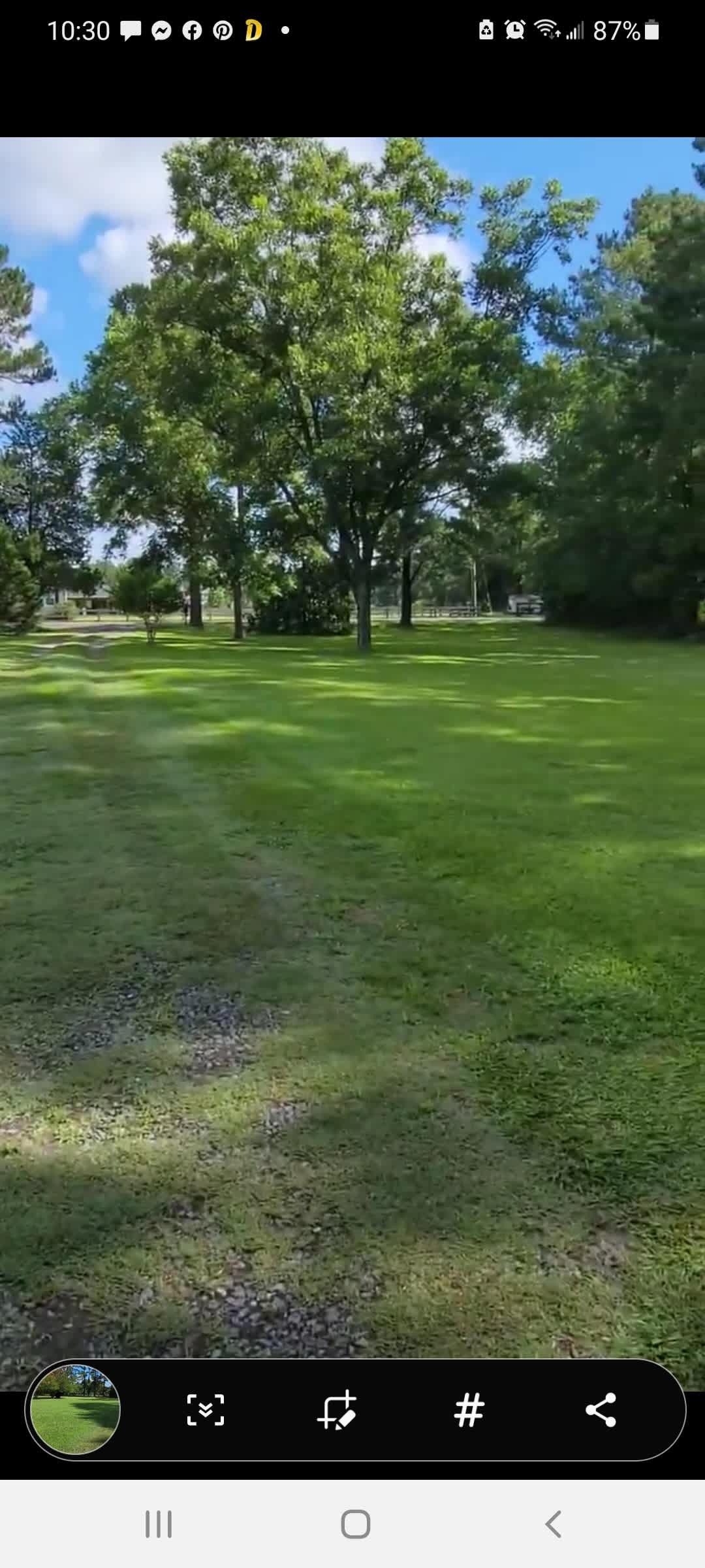 Picture of the site