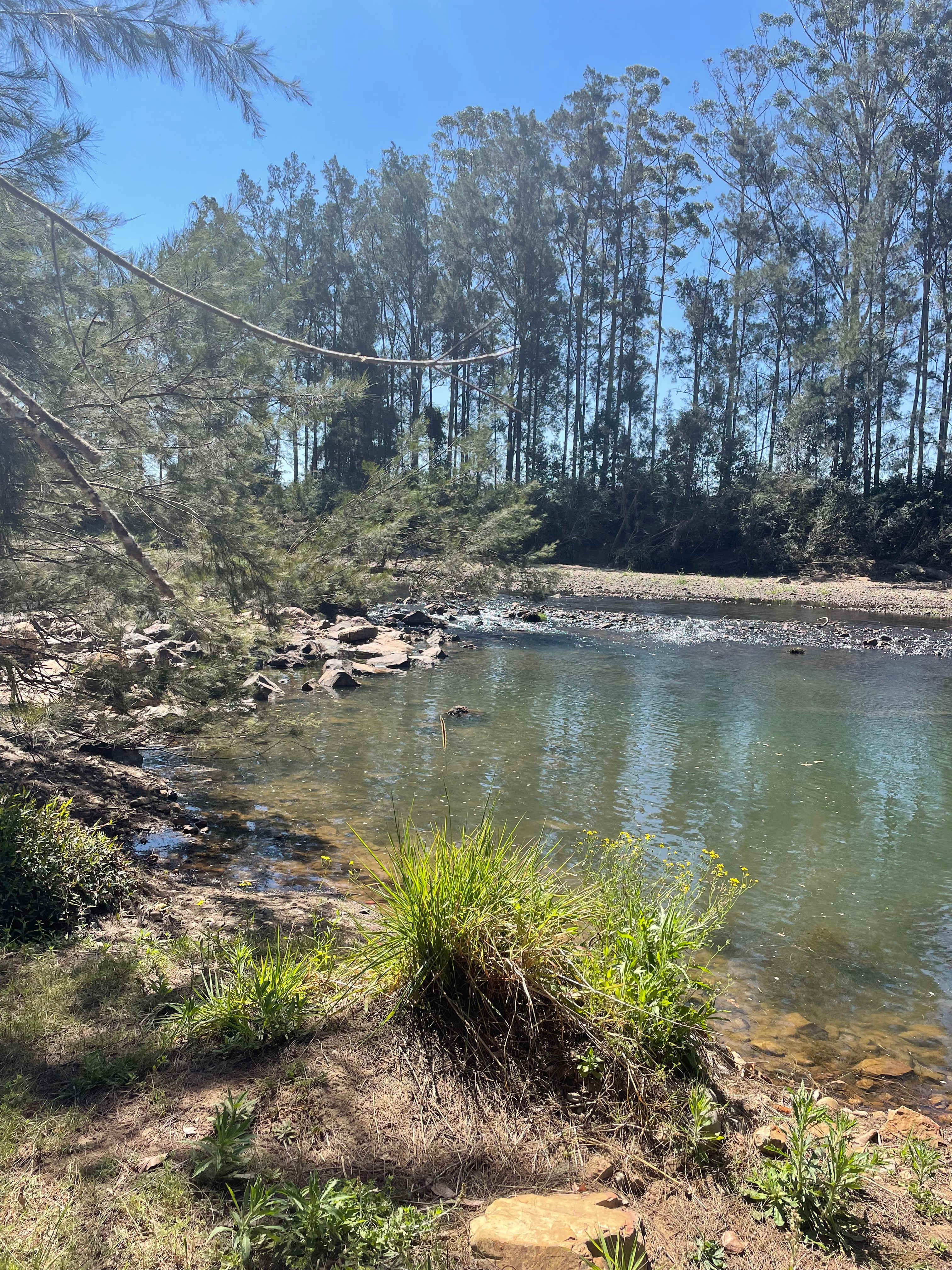 Picture of the site