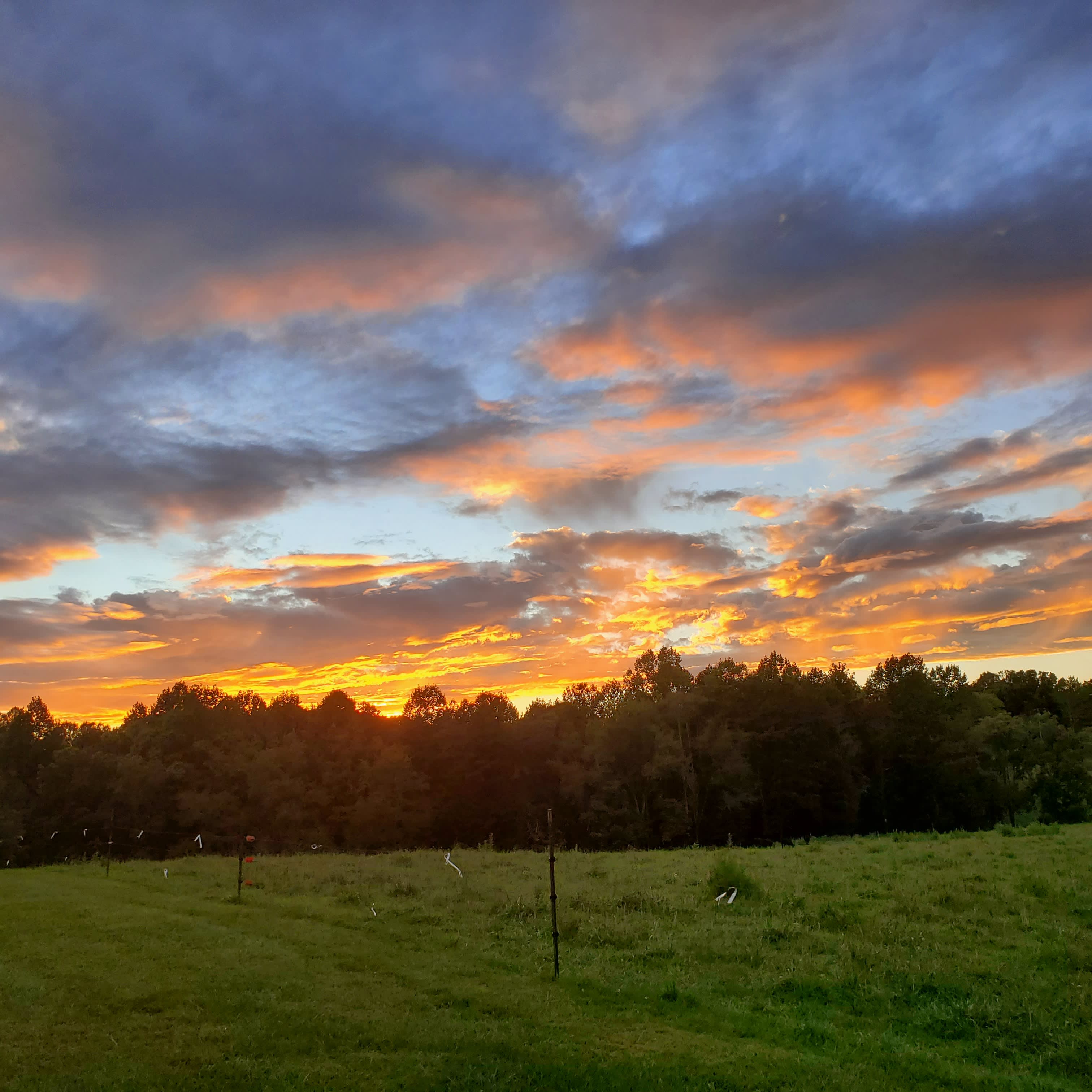 Bent Creek Farm