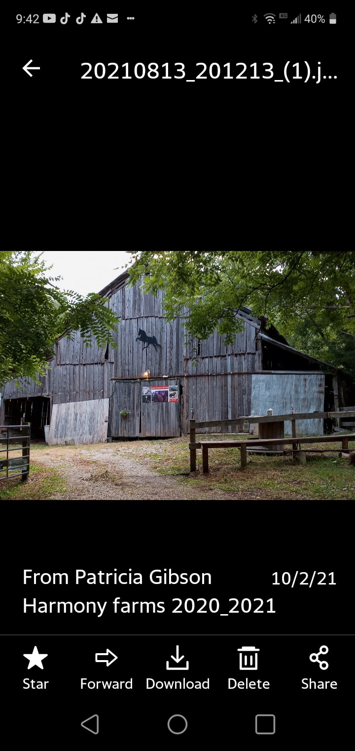 Harmony hollow