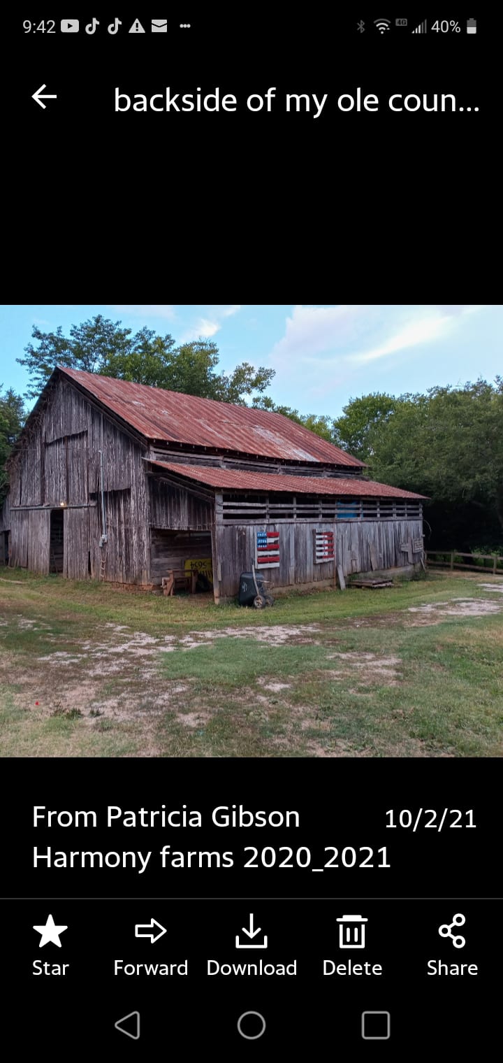 Harmony hollow