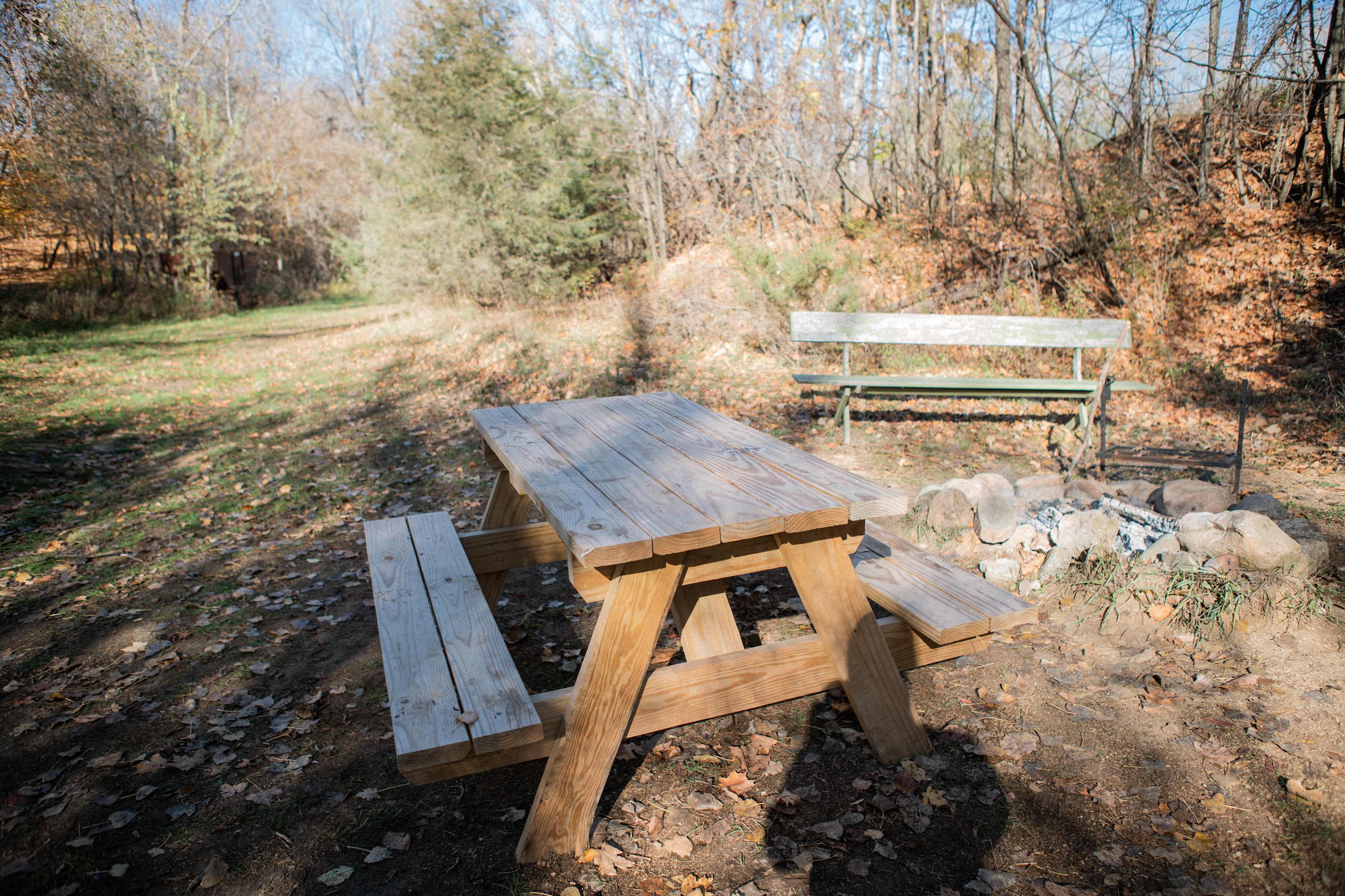Picnic table (facing North)