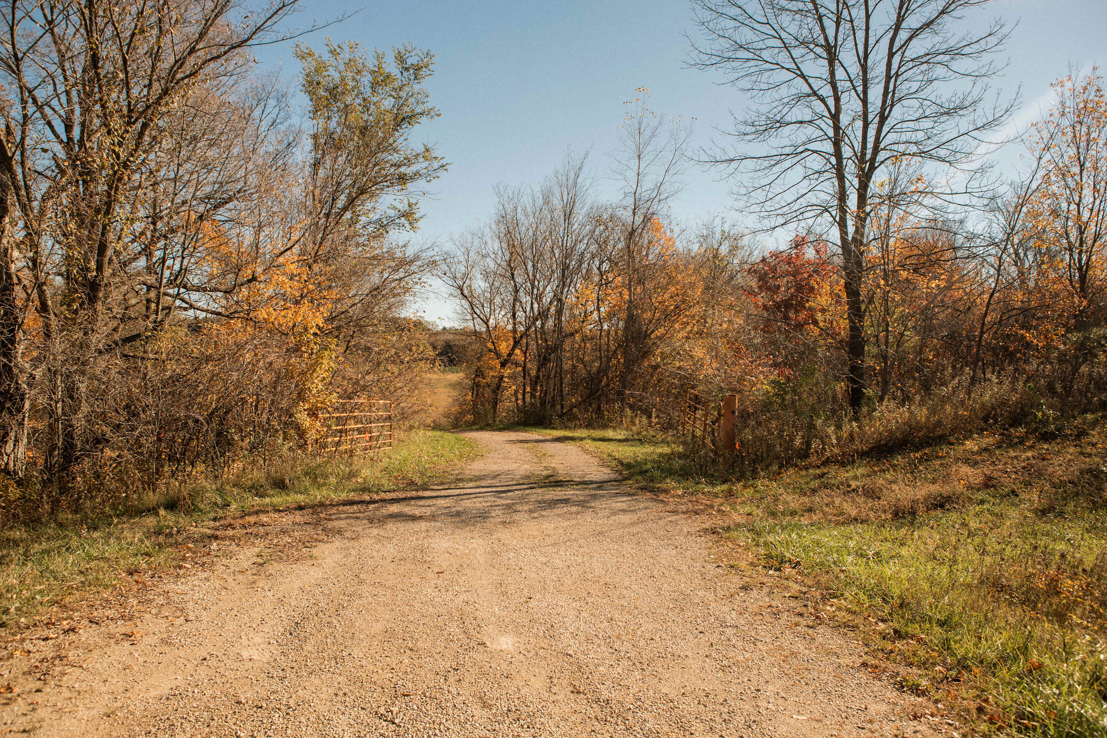 The entrance to the hipcamp site is on the East side of Hwy 63. The double gates are an easy landmark. 