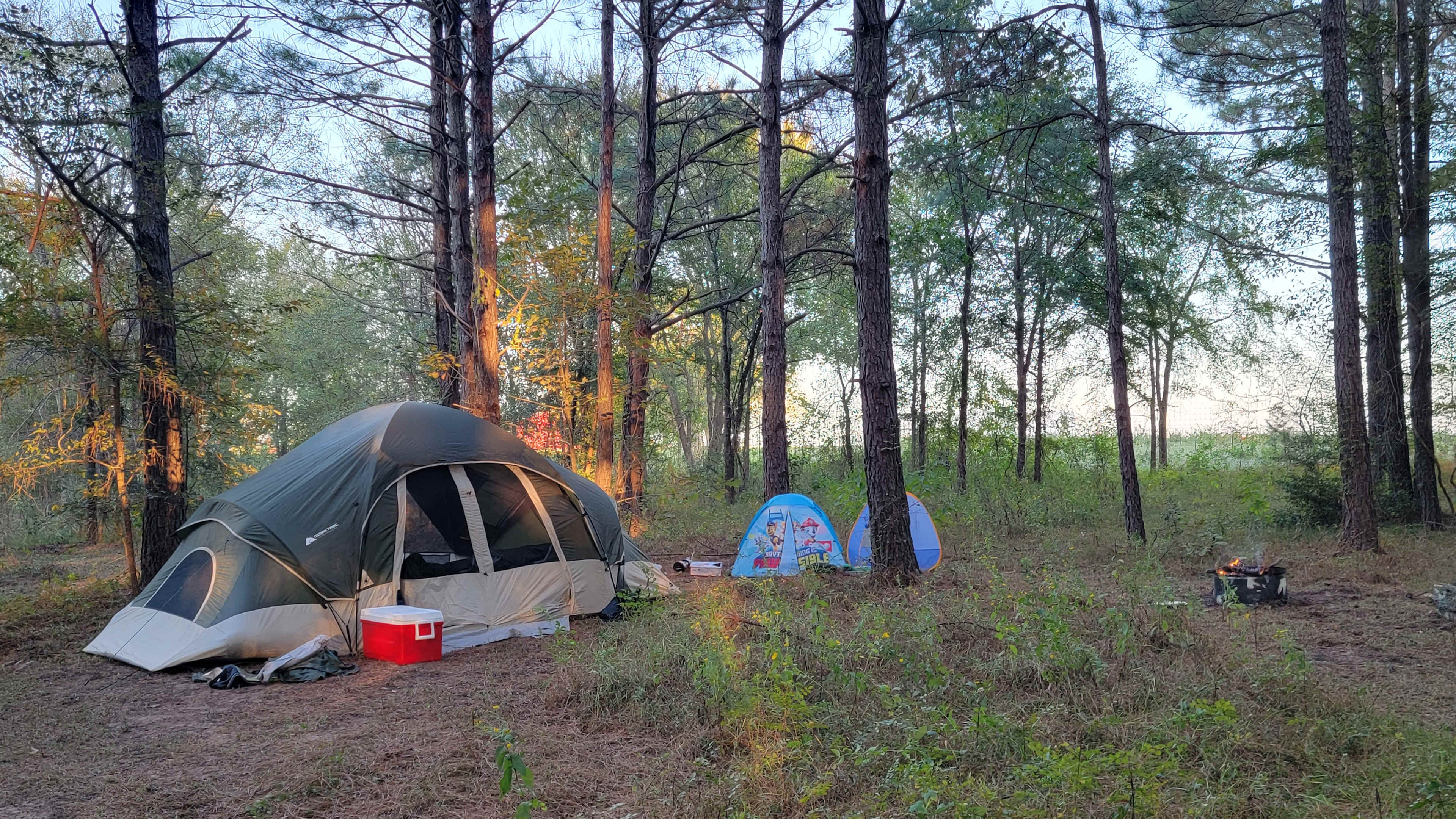 Picture of the site