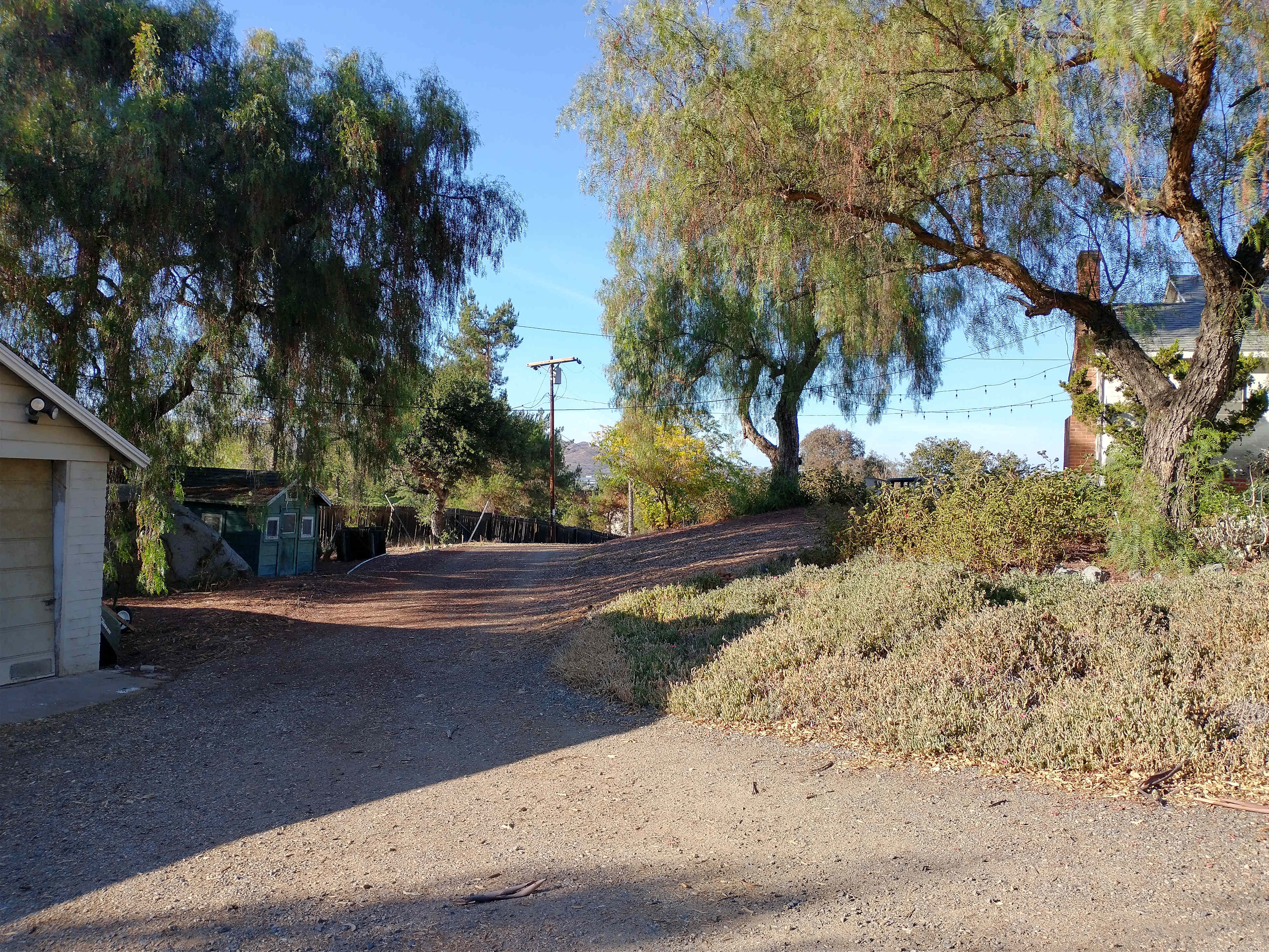 Ranch Blooms