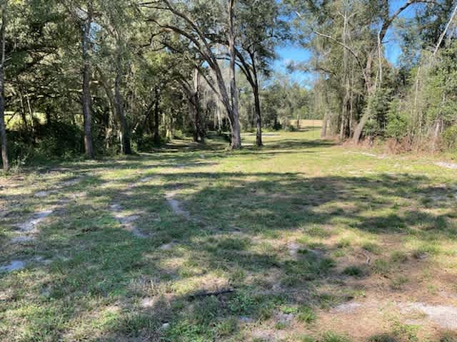 Ellaville Junction Primitive camp
