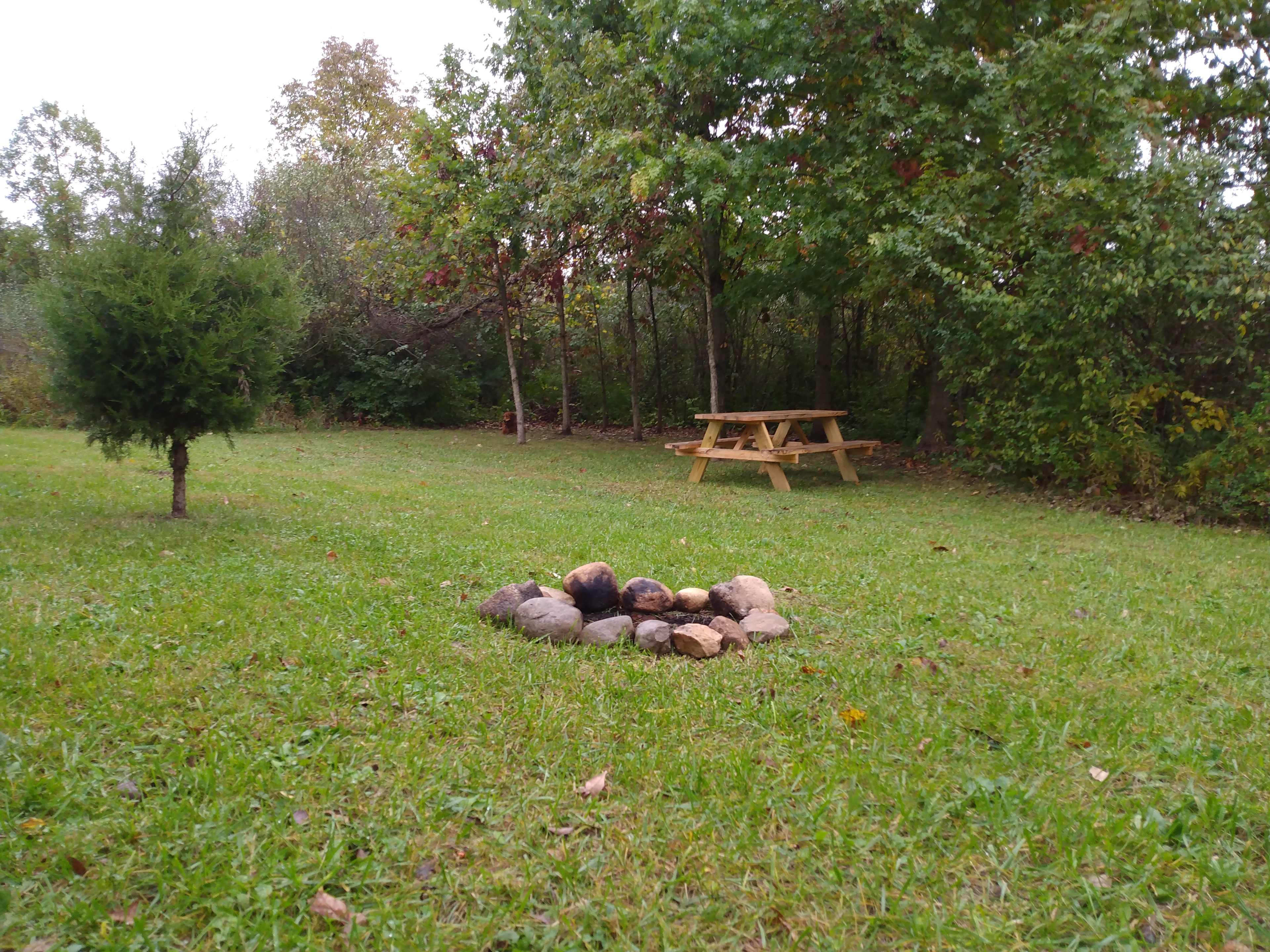 The Meadow