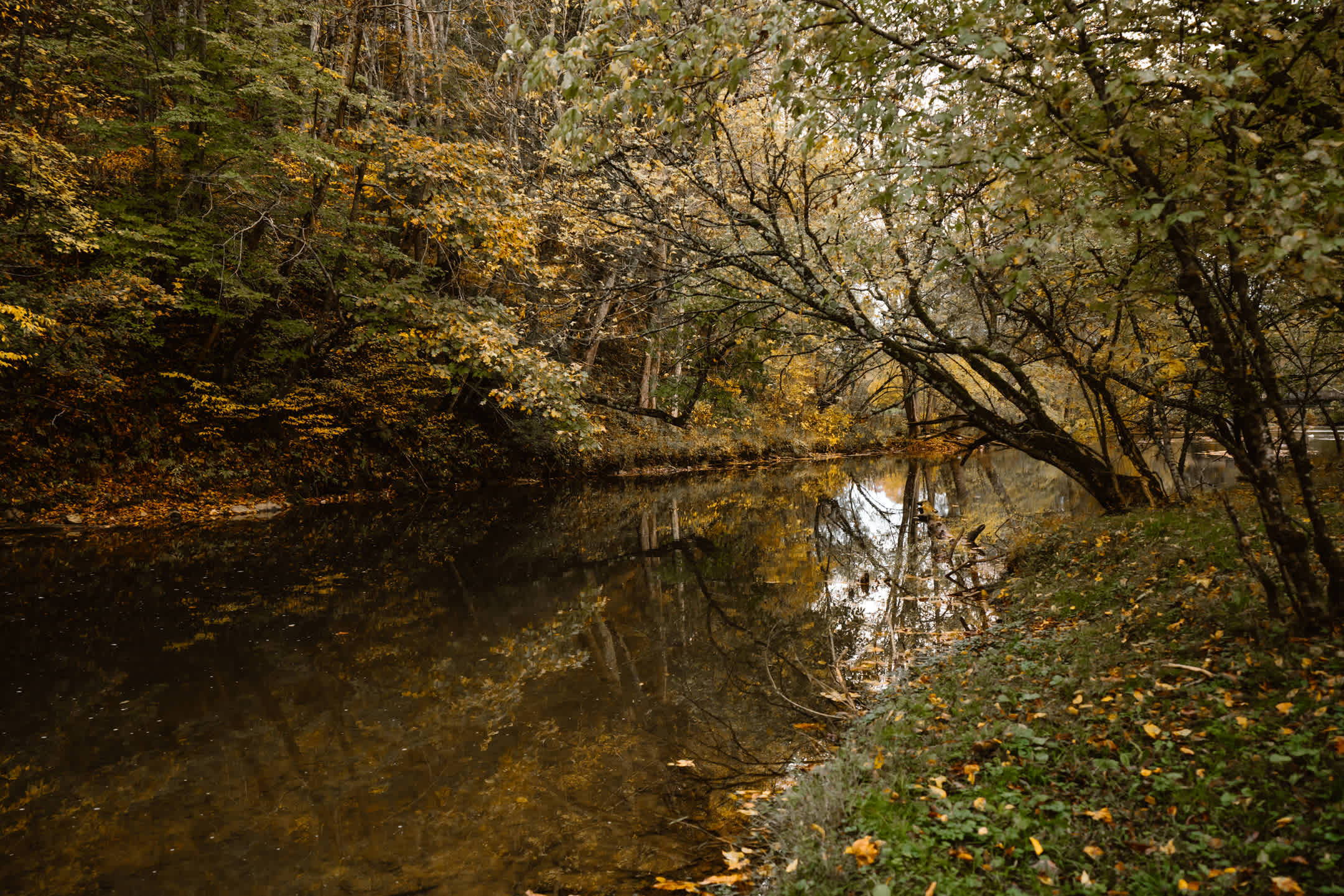 Great place to camp! Too bad it wasn't summer, this is a perfect swimming hole campsite!