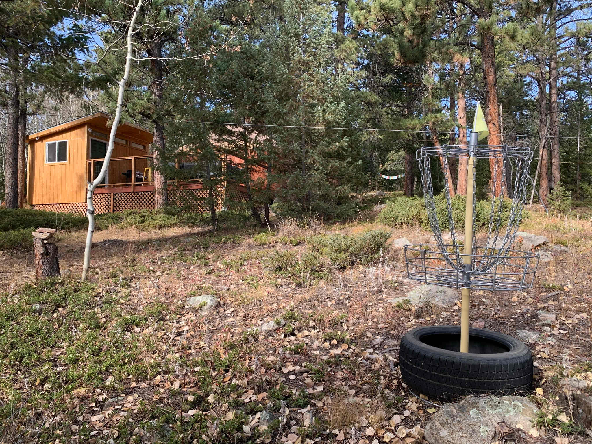 Frisbee golf