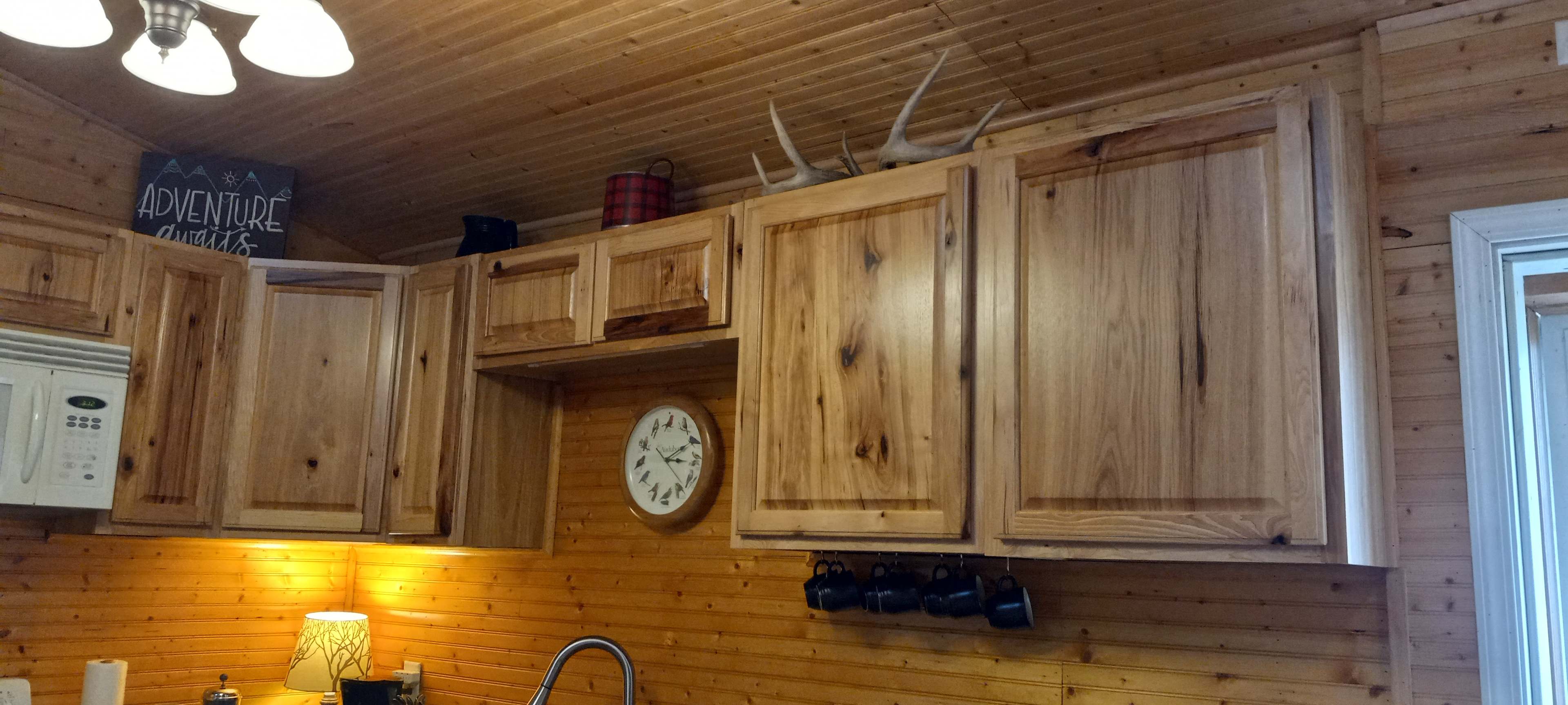 Shed antlers. No animals were harmed in the (re-)production of any decor.  Male deer routinely "shed' their antlers every year and grow new ones.   Its perfectly normal.  Sometimes you can find discarded antler in the woods.  There is NO HUNTING on the property. 