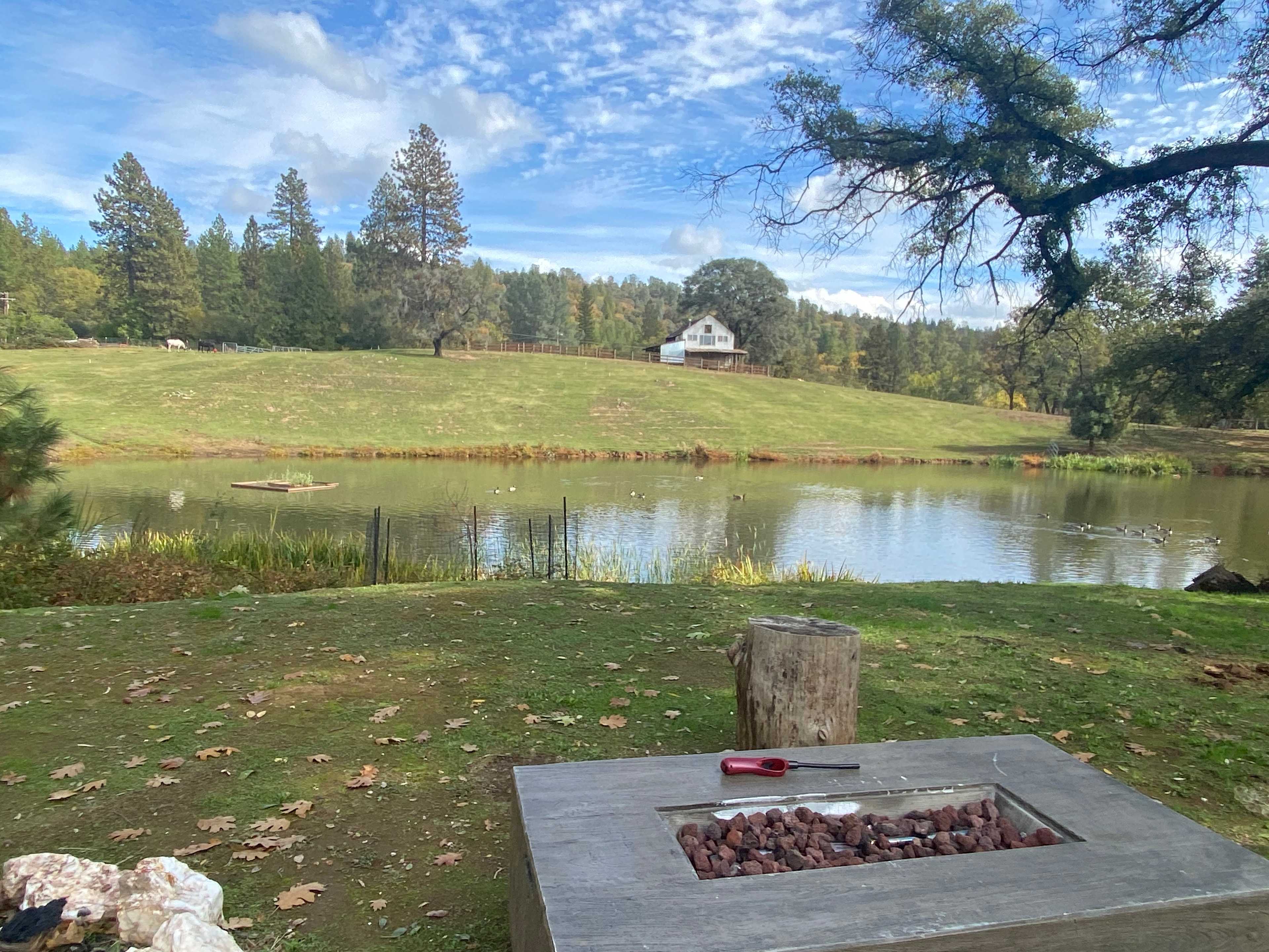 Picture of the site