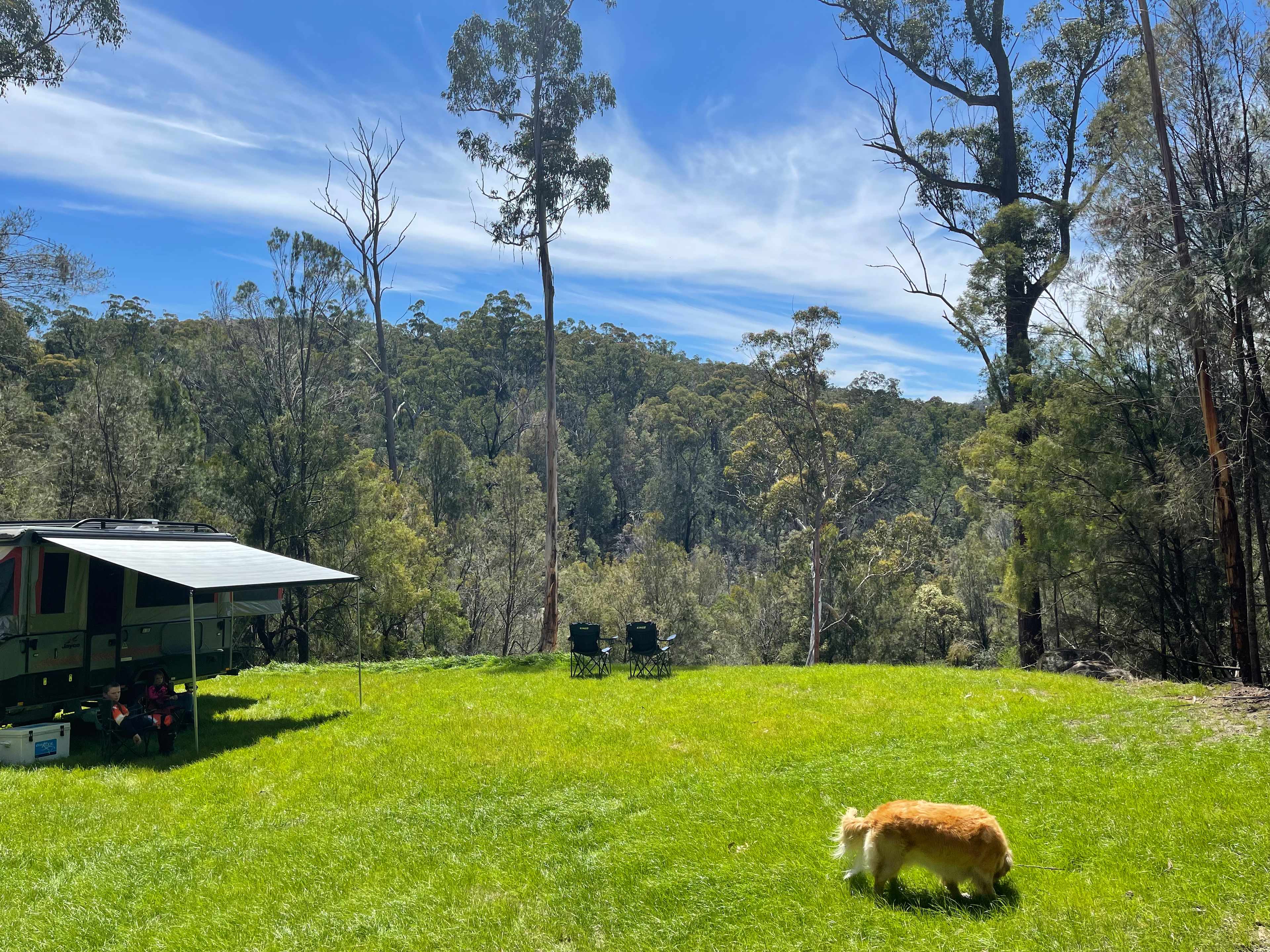 Thurra Bush Camping 