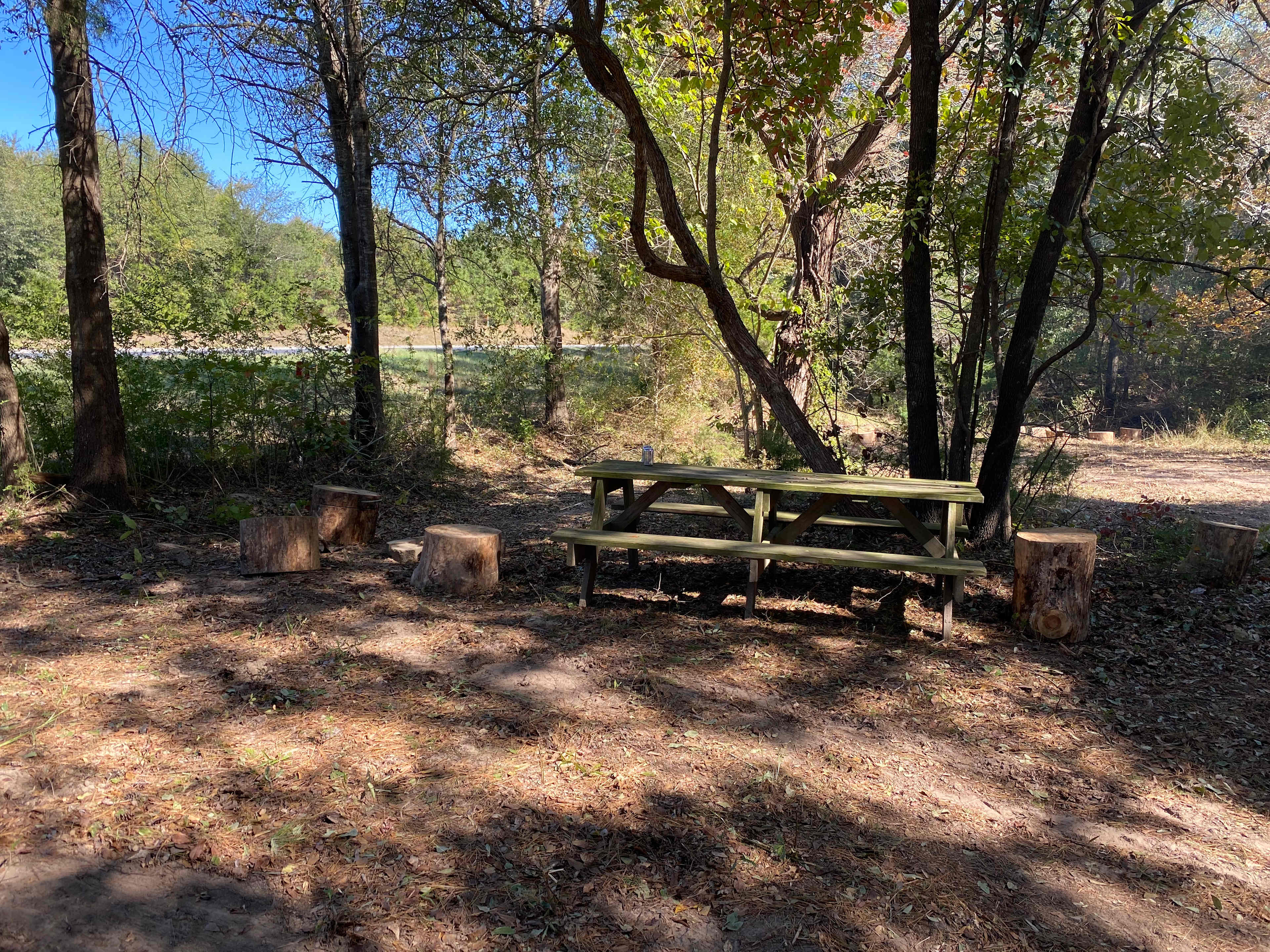 Site two picnic table