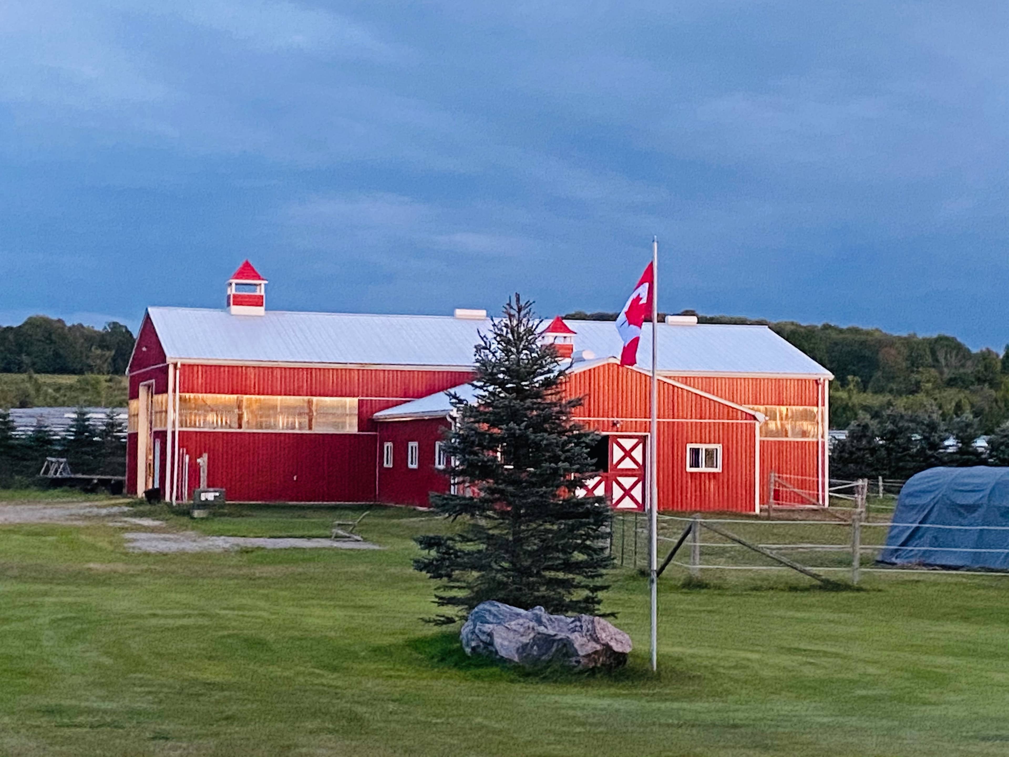 ❤️186 ACRES OF FARM HORSE CAMPING 🐎🐄