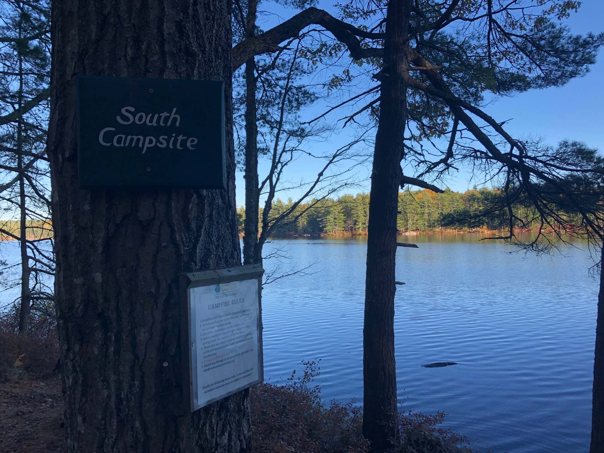 Picture of the site