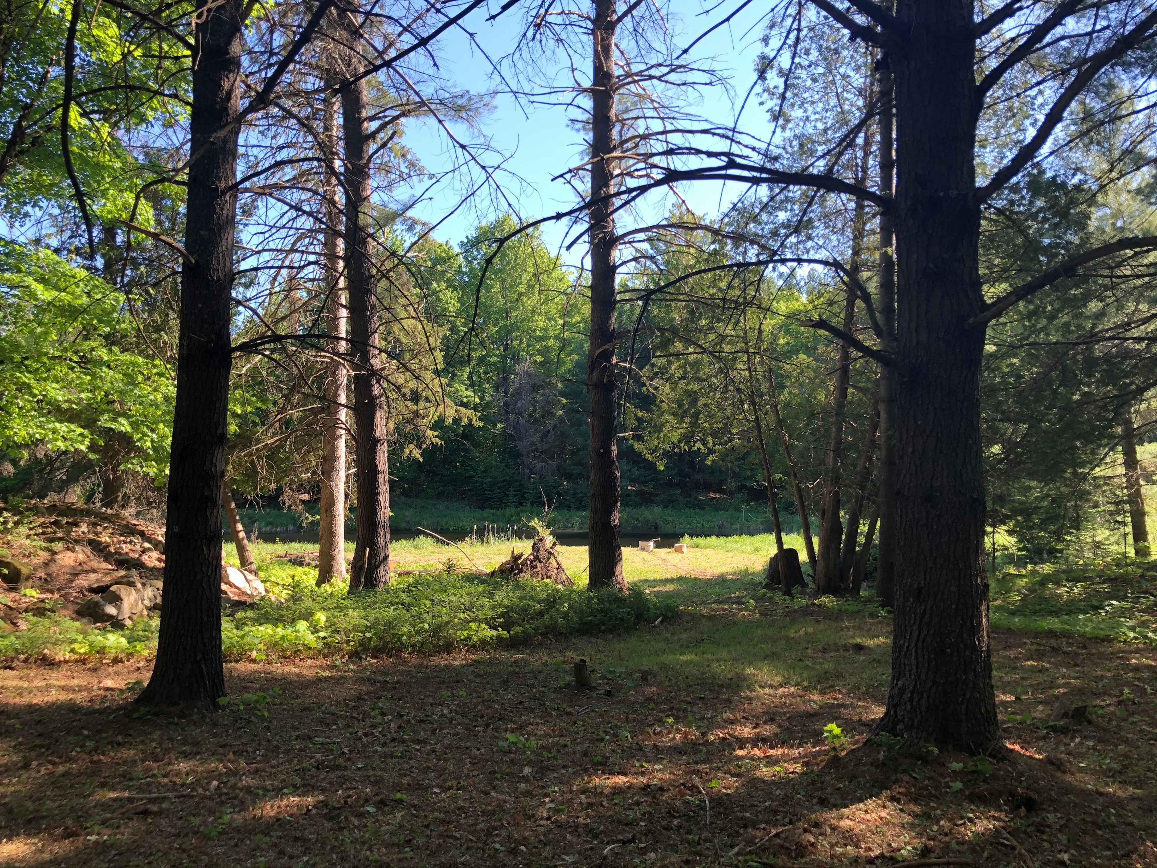 Picture of the site