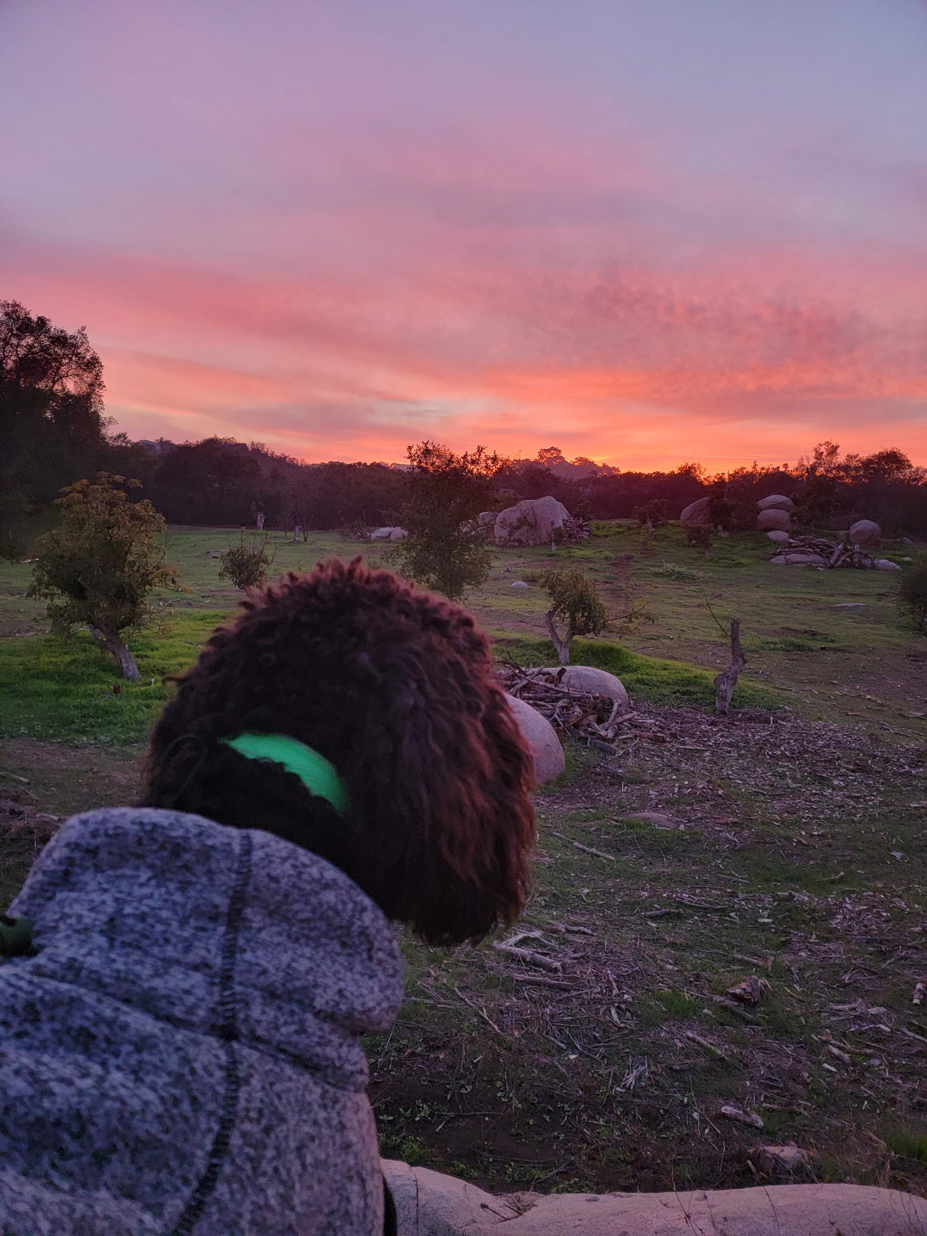 Sunset from one of the rock formations just a few steps away from camp.