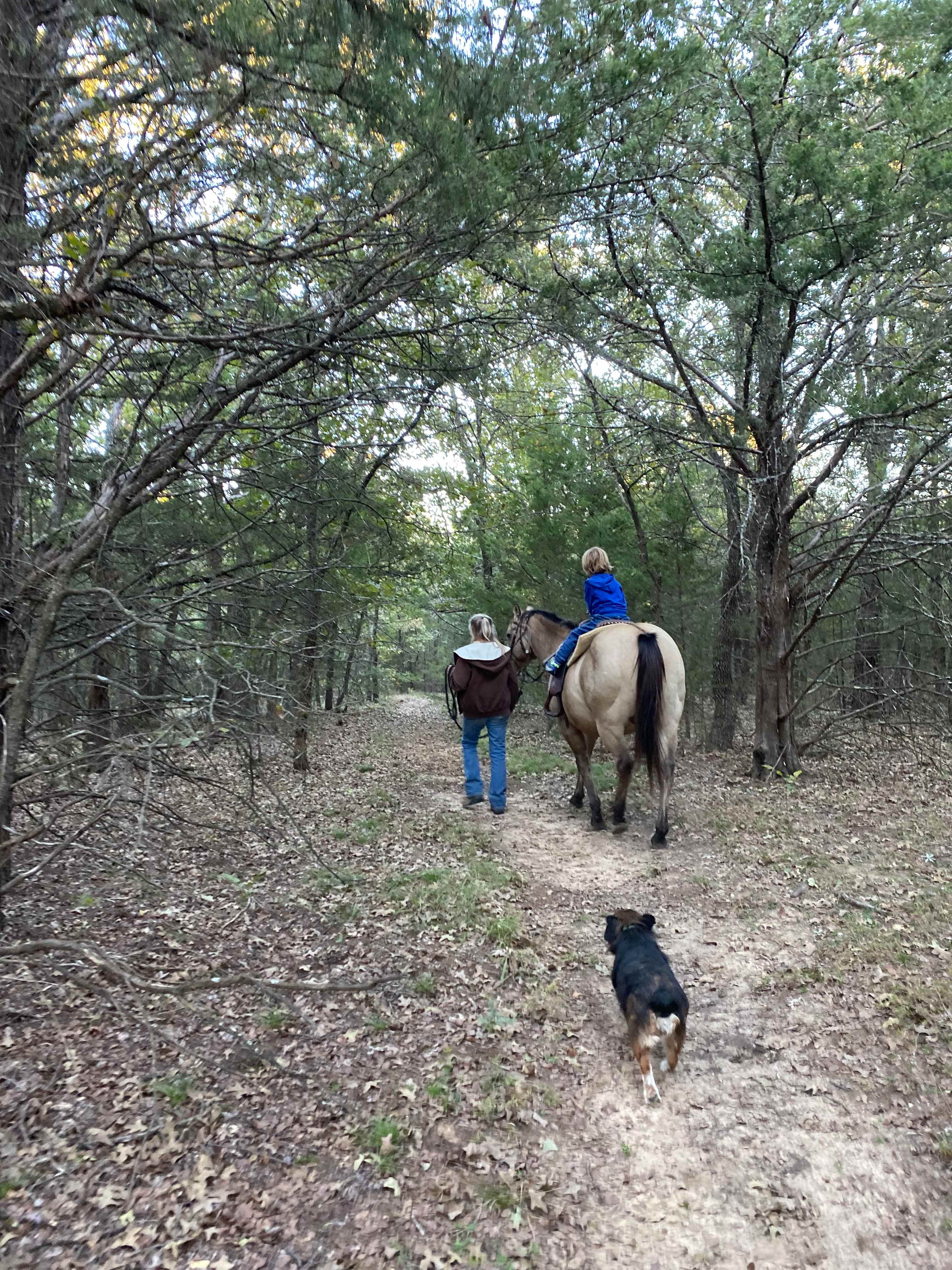 Camp Tonkawa Woods & Horse Camp
